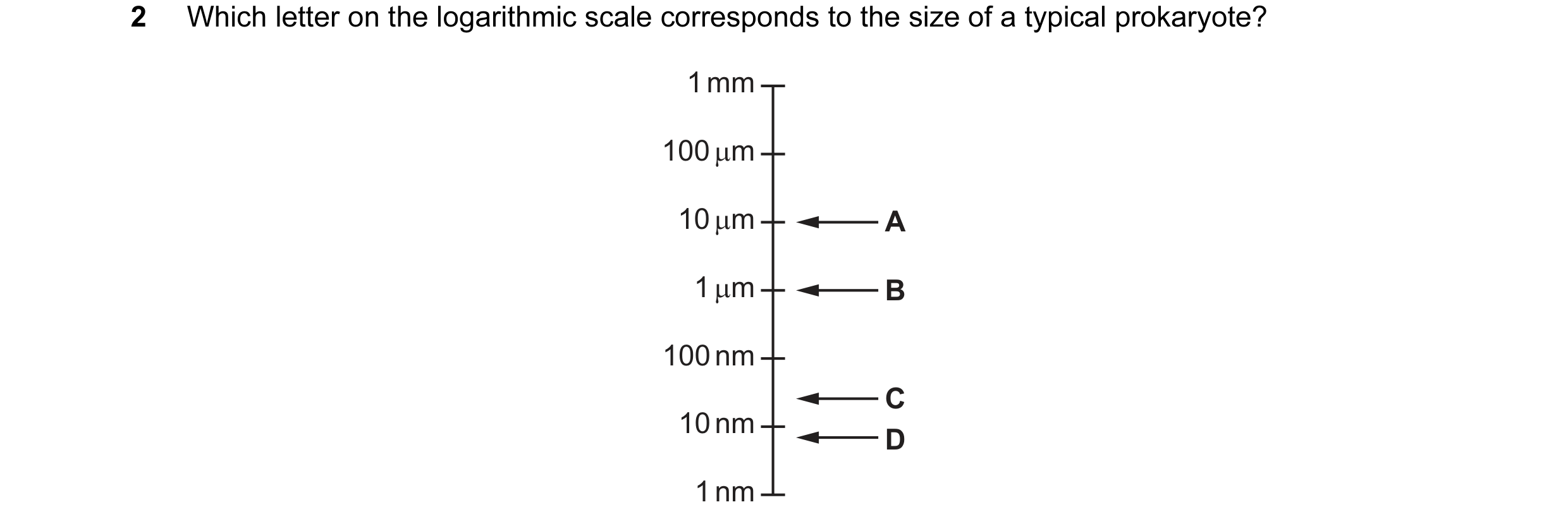Question 157: Which letter on the logarithmic scale corresponds to the size of a typical prokaryote? 1 mm 100 µm 10 µm A 1 µm B 100 nm C 10 nm D 1 nm