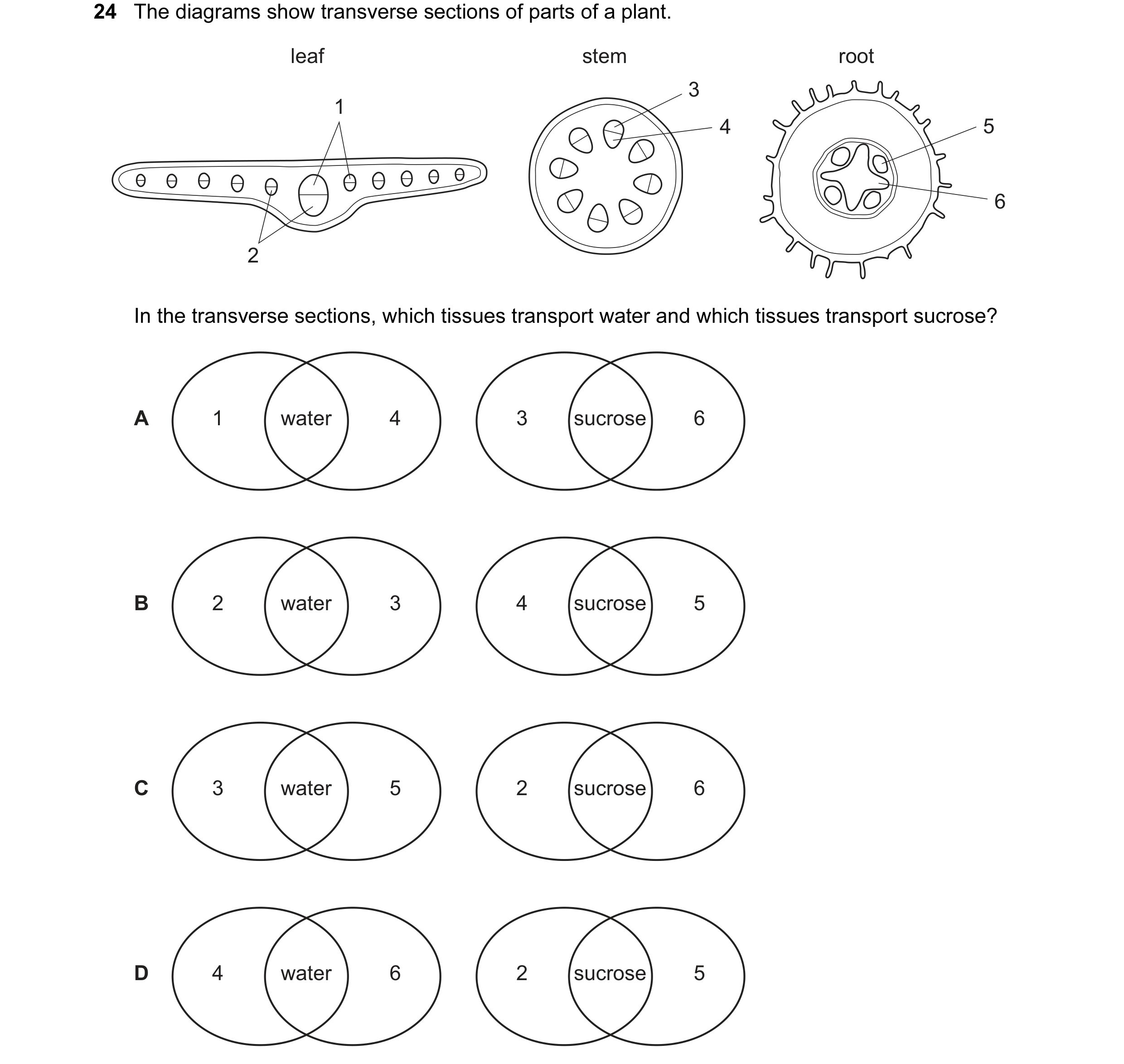 Question 43: The diagrams show transverse sections of parts of a plant. leaf stem root 3 1 4 5 6 2 In the transverse sections, which tissues transport w…