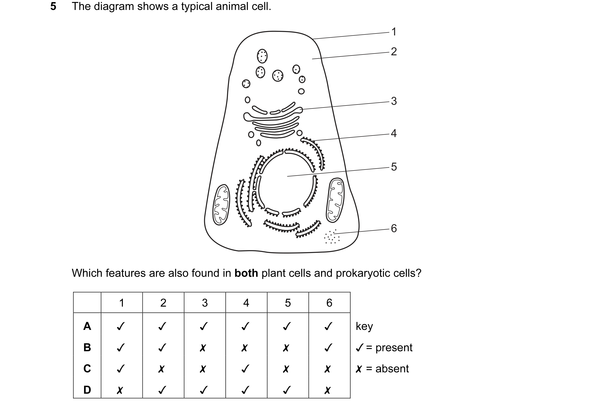 Question 159: The diagram shows a typical animal cell.

Which features are also found in both plant cells and prokaryotic cells?

1 2 3 4 5 6
A v v v v v…