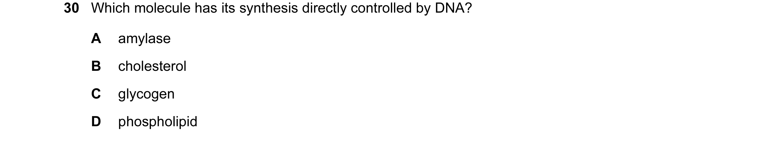 Question 30: Which molecule has its synthesis directly controlled by DNA? A amylase B cholesterol C glycogen D phospholipid