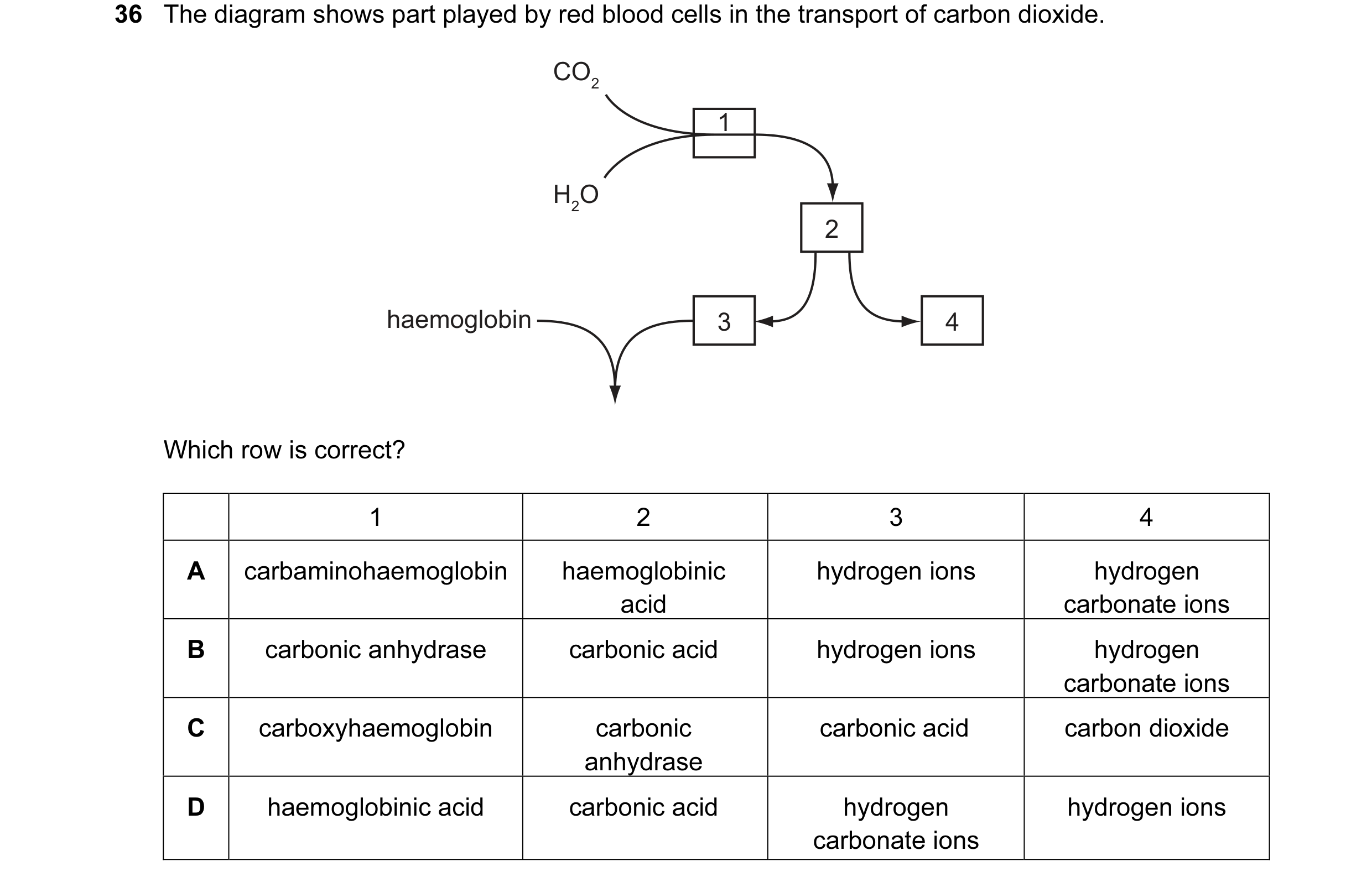 Question 17: The diagram shows part played by red blood cells in the transport of carbon dioxide. CO2 1 H2O 2 haemoglobin 3 4 Which row is correct? 1 2 …