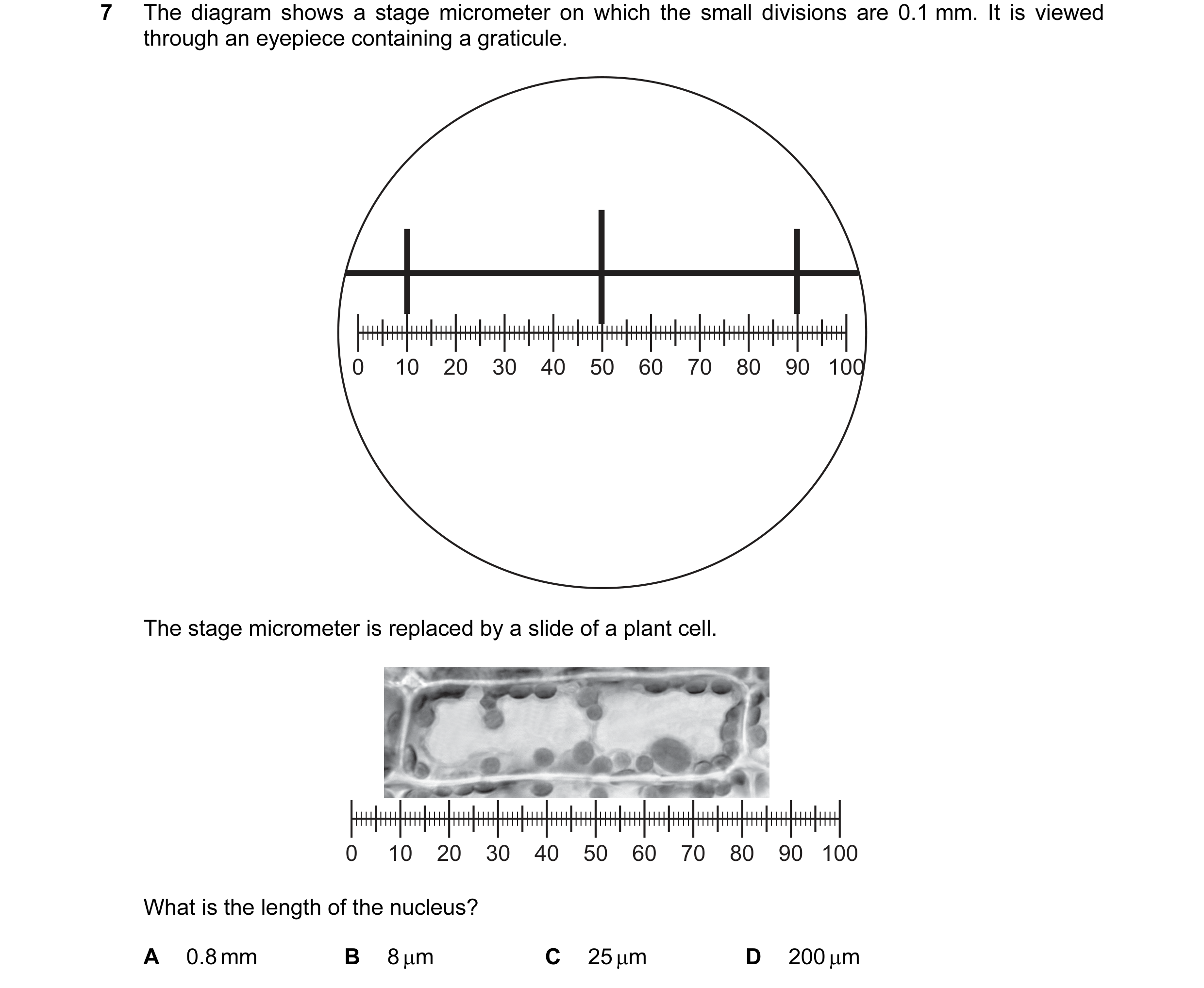 Question 43: The diagram shows a stage micrometer on which the small divisions are 0.1 mm. It is viewed through an eyepiece containing a graticule. 0 10…
