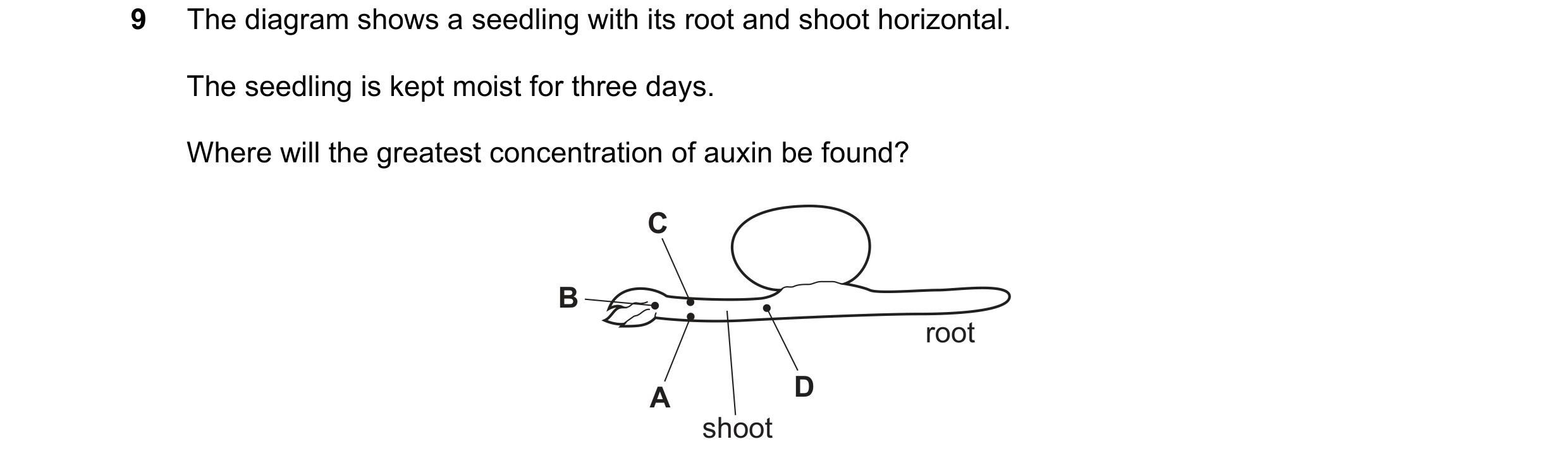 Question 2: The diagram shows a seedling with its root and shoot horizontal. The seedling is kept moist for three days. Where will the greatest concent…