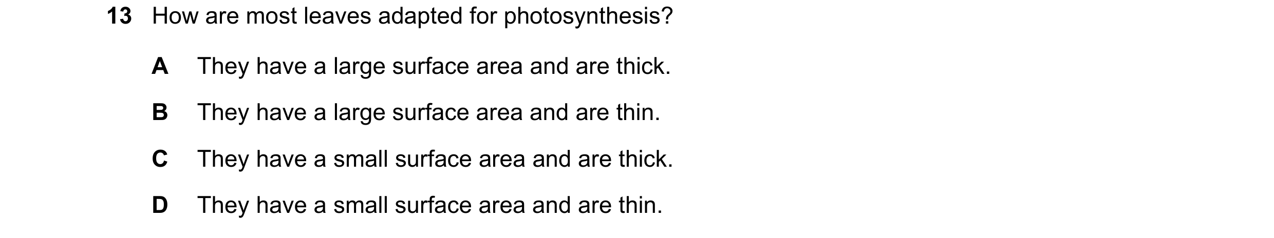 Question 18: How are most leaves adapted for photosynthesis? A They have a large surface area and are thick. B They have a large surface area and are th…