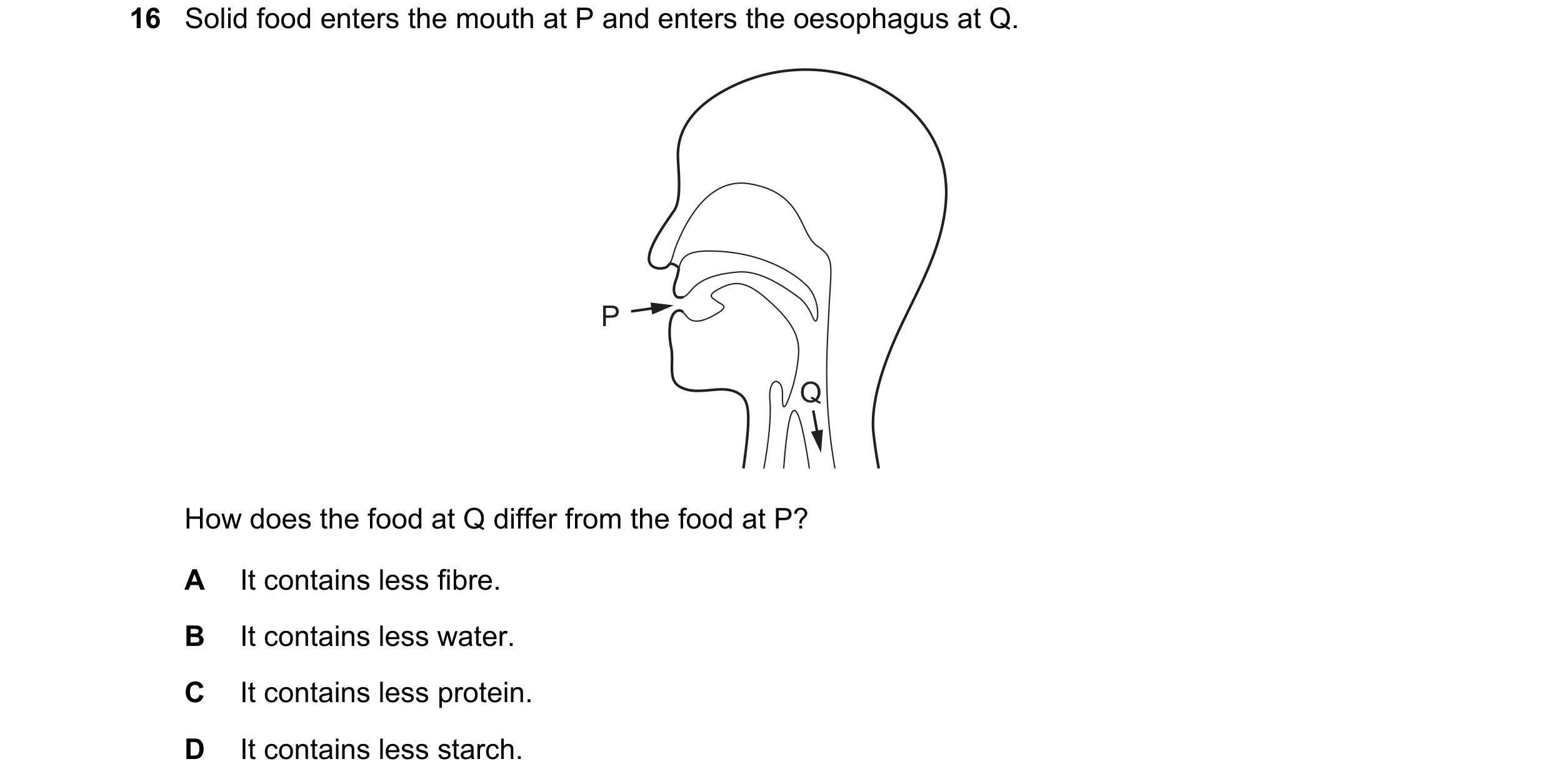 Question 16: Solid food enters the mouth at P and enters the oesophagus at Q. P Q How does the food at Q differ from the food at P? A It contains less f…