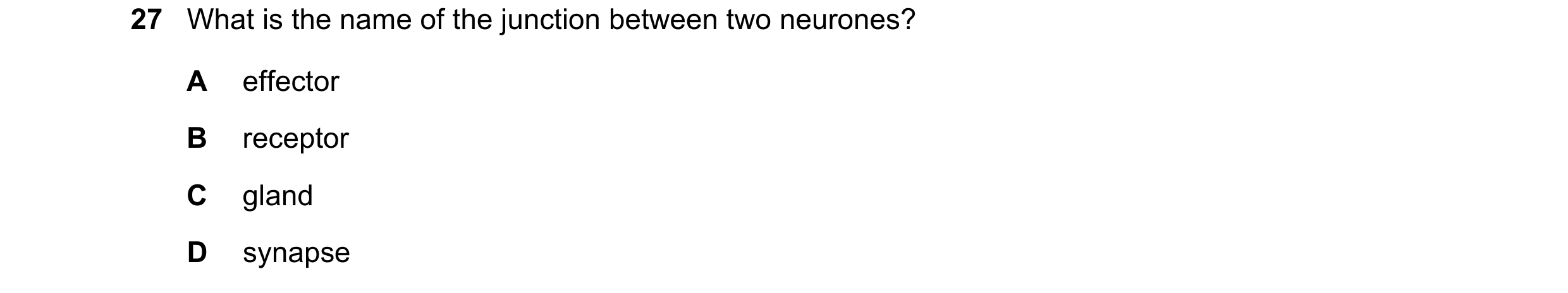 Question 24: What is the name of the junction between two neurones? A effector B receptor C gland D synapse