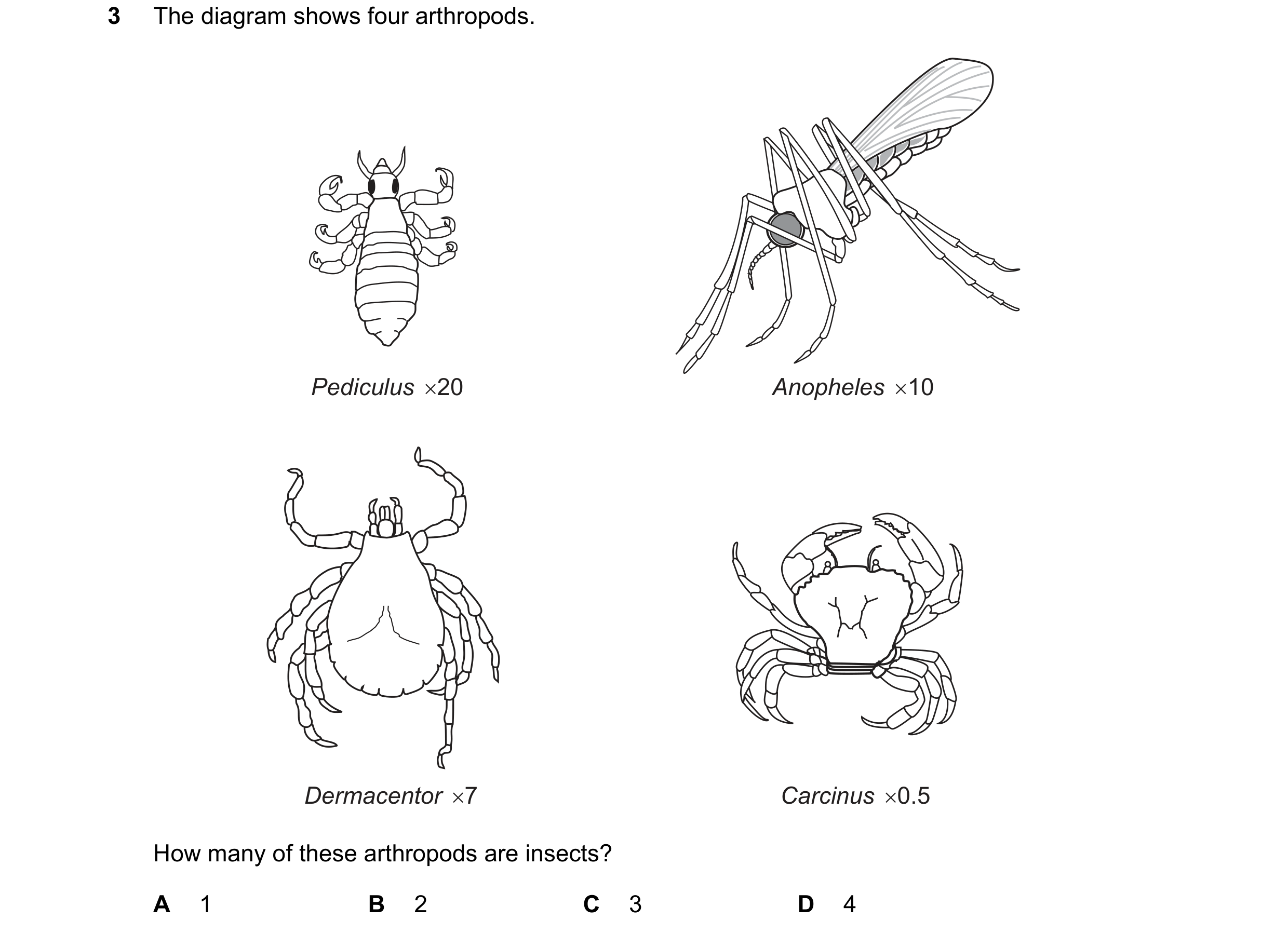 Question 20: The diagram shows four arthropods. Pediculus ×20 Anopheles ×10 Dermacentor ×7 Carcinus ×0.5 How many of these arthropods are insects? A…