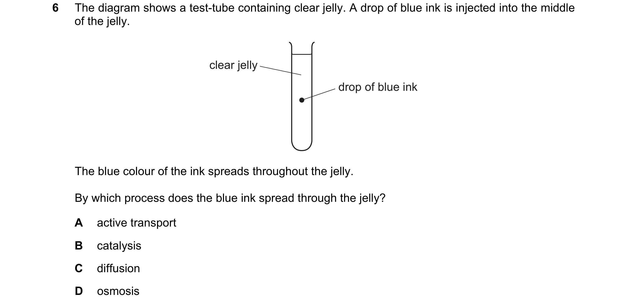Question 15: The diagram shows a test-tube containing clear jelly. A drop of blue ink is injected into the middle of the jelly. clear jelly drop of blue…