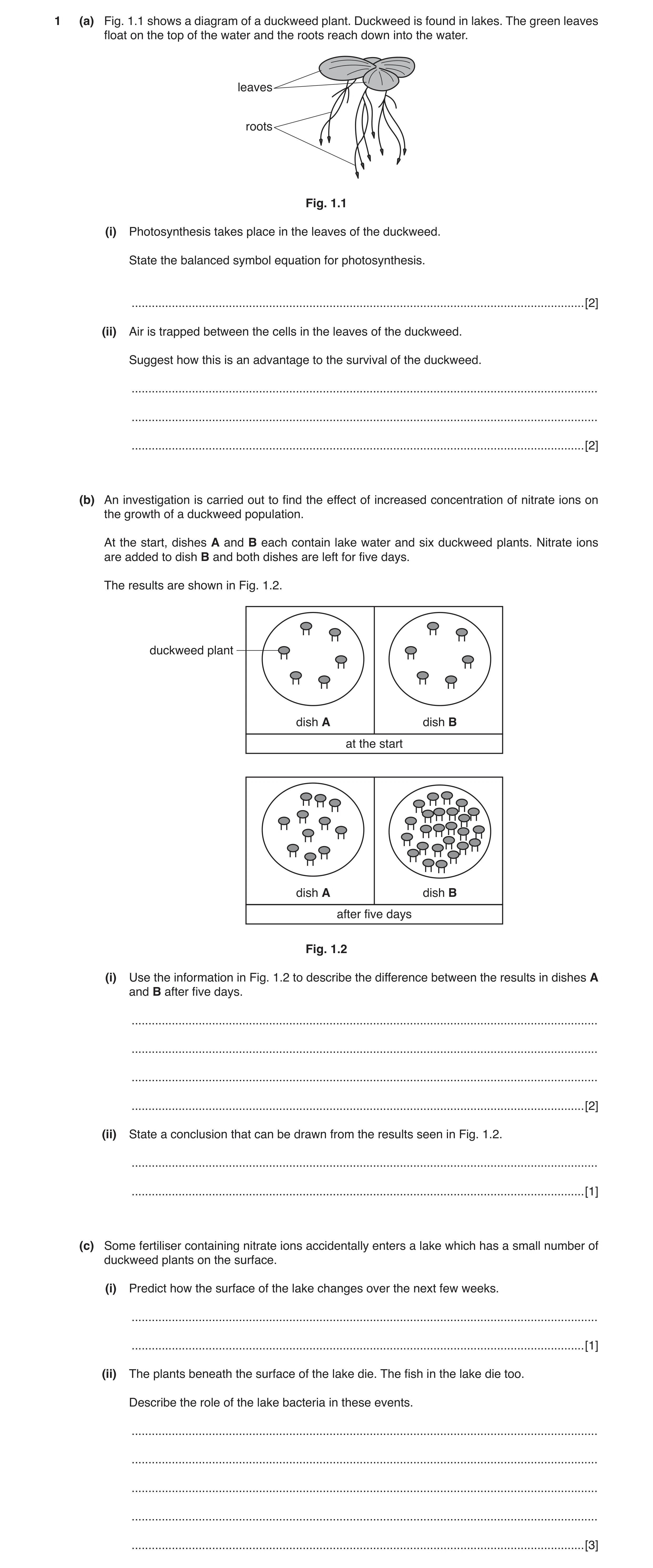 Question 3: (a) Fig. 1.1 shows a diagram of a duckweed plant. Duckweed is found in lakes. The green leaves float on the top of the water and the roots …