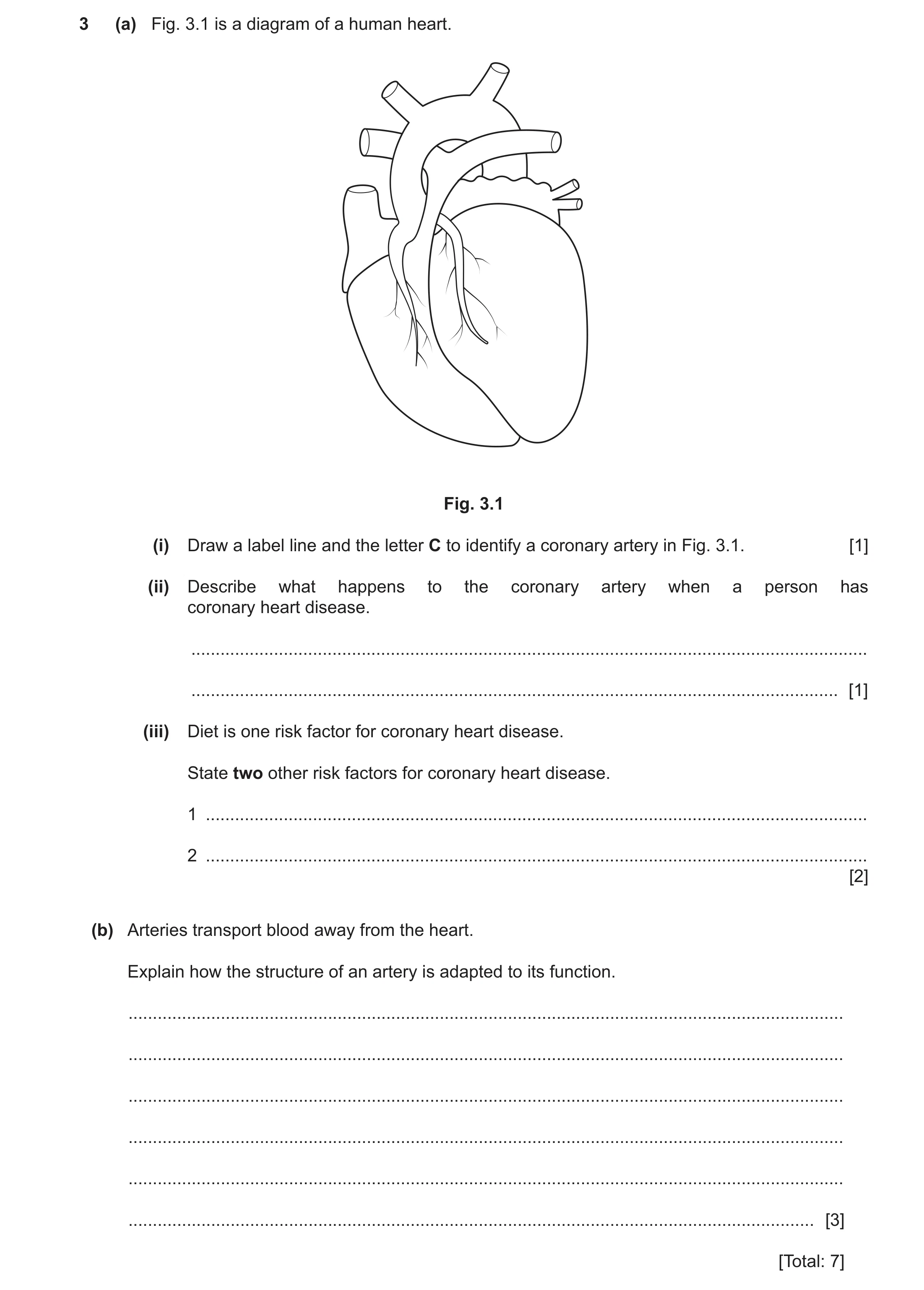 Question 22: (a) Fig. 3.1 is a diagram of a human heart. Fig. 3.1 (i) Draw a label line and the letter C to identify a coronary artery in Fig. 3.1. [1] …