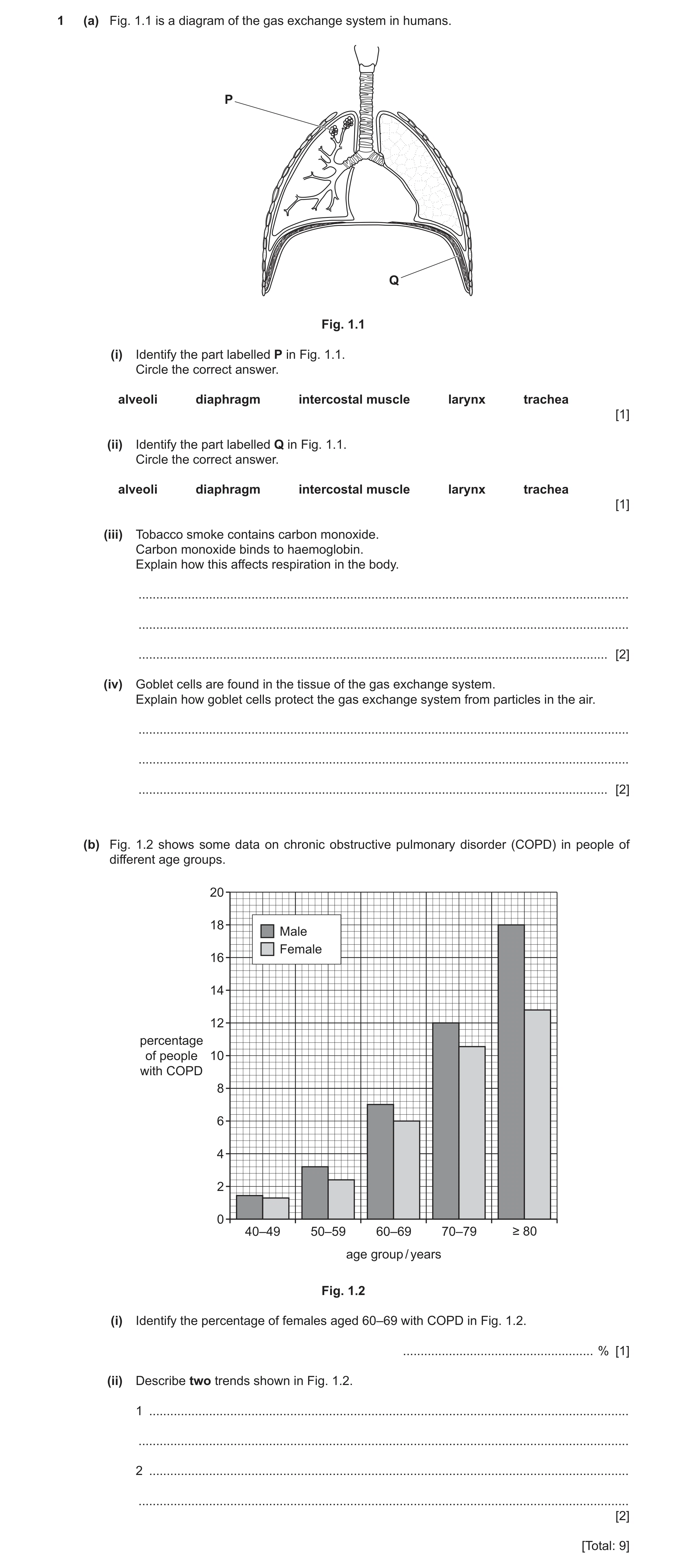 Question 16: (a) Fig. 1.1 is a diagram of the gas exchange system in humans. P Q Fig. 1.1 (i) Identify the part labelled P in Fig. 1.1. Circle the corre…