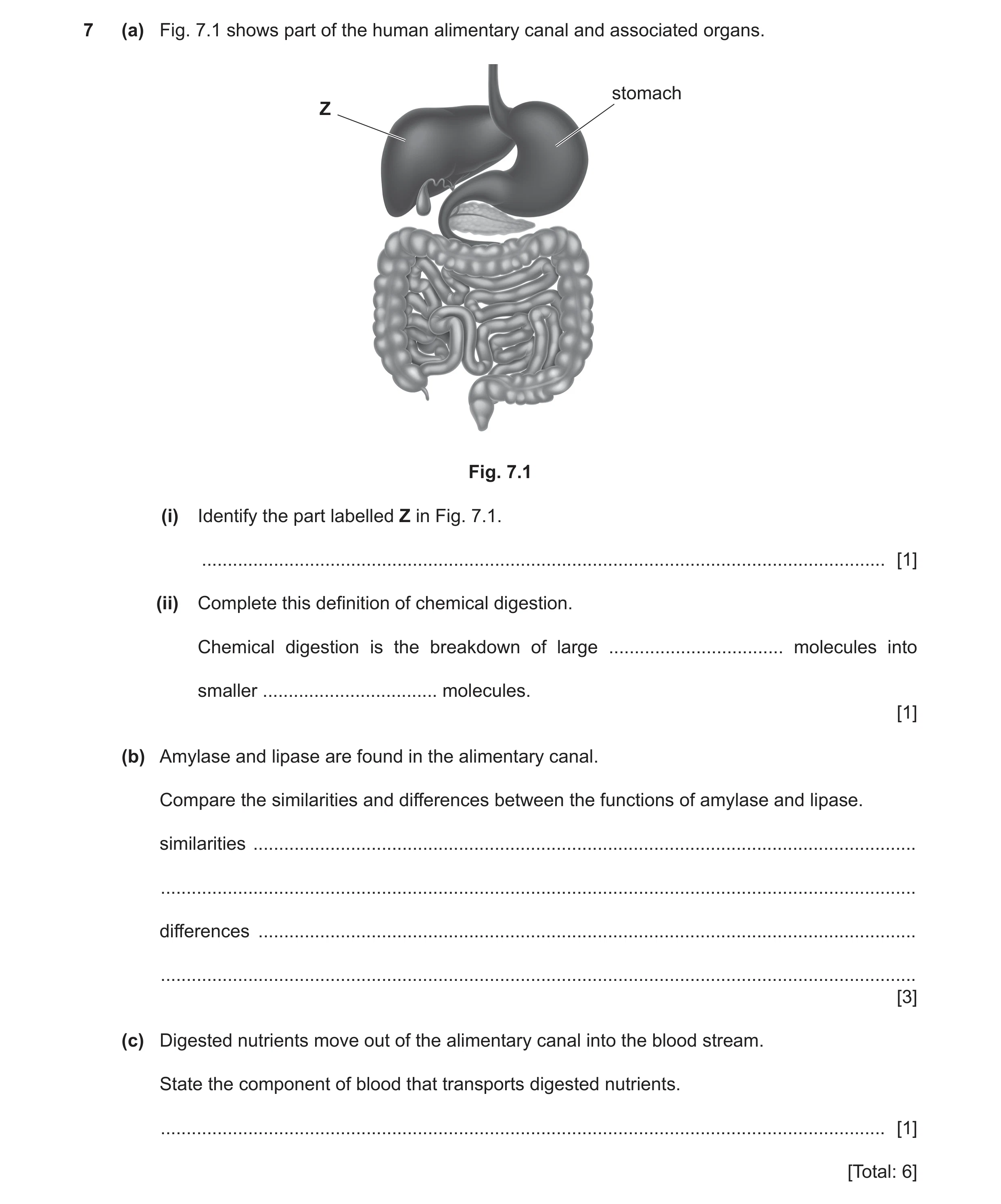 Question 12: (a) Fig. 7.1 shows part of the human alimentary canal and associated organs. stomach Z Fig. 7.1 (i) Identify the part labelled Z in Fig. 7.…
