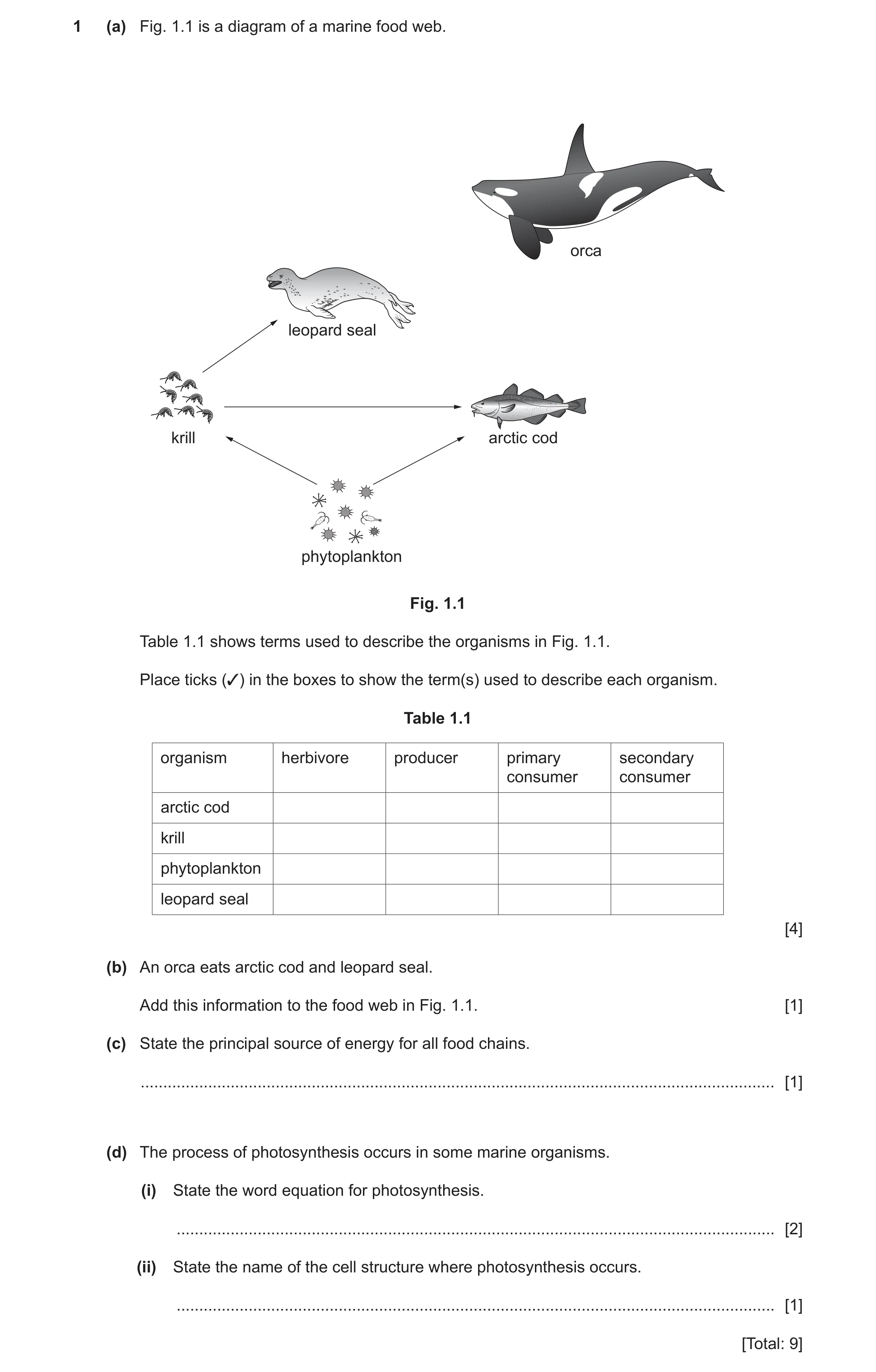 Question 22: (a) Fig. 1.1 is a diagram of a marine food web. orca leopard seal krill arctic cod phytoplankton Fig. 1.1 Table 1.1 shows terms used to des…