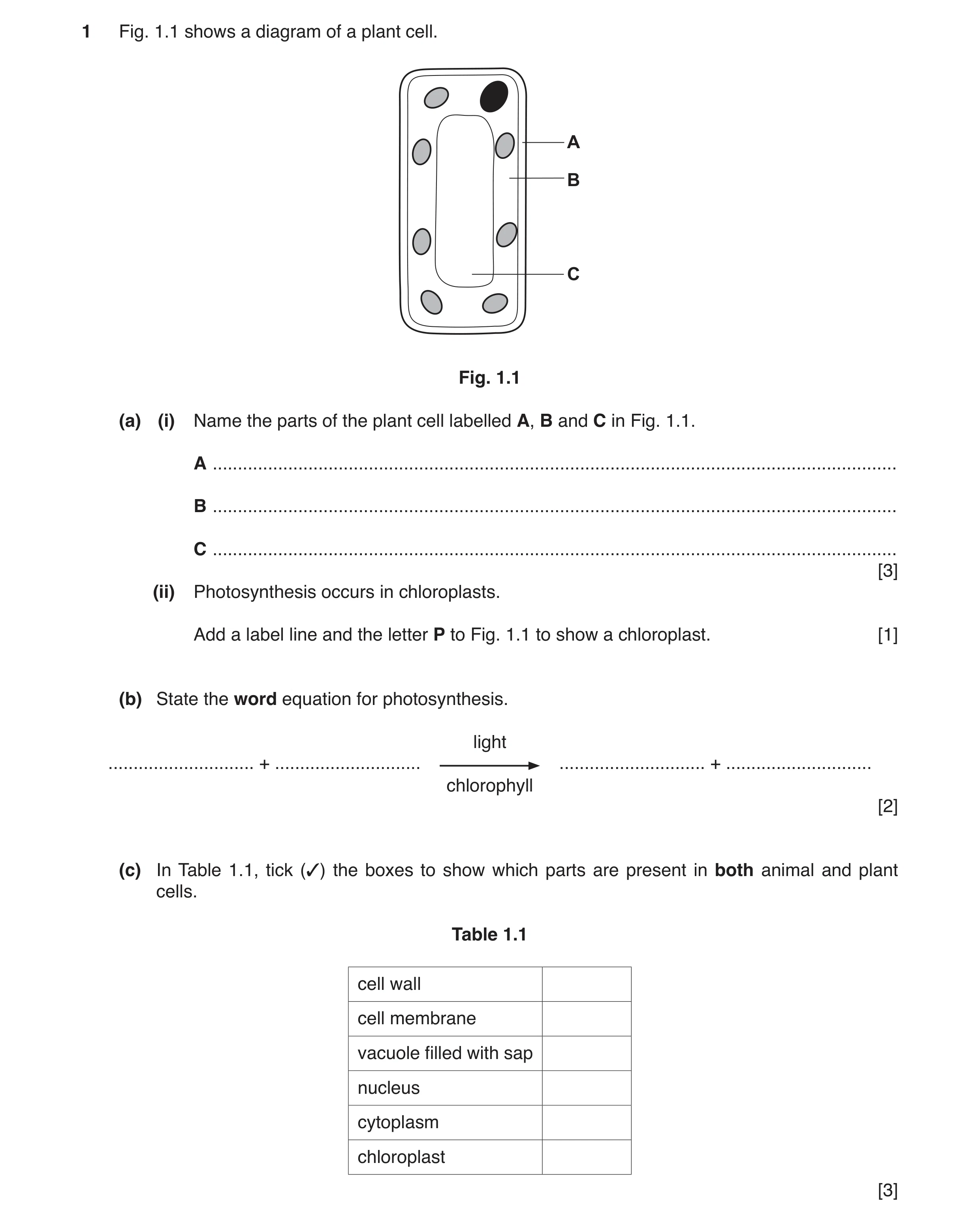 Question 2: Fig. 1.1 shows a diagram of a plant cell. A B C Fig. 1.1 (a) (i) Name the parts of the plant cell labelled A, B and C in Fig. 1.1. A ......…