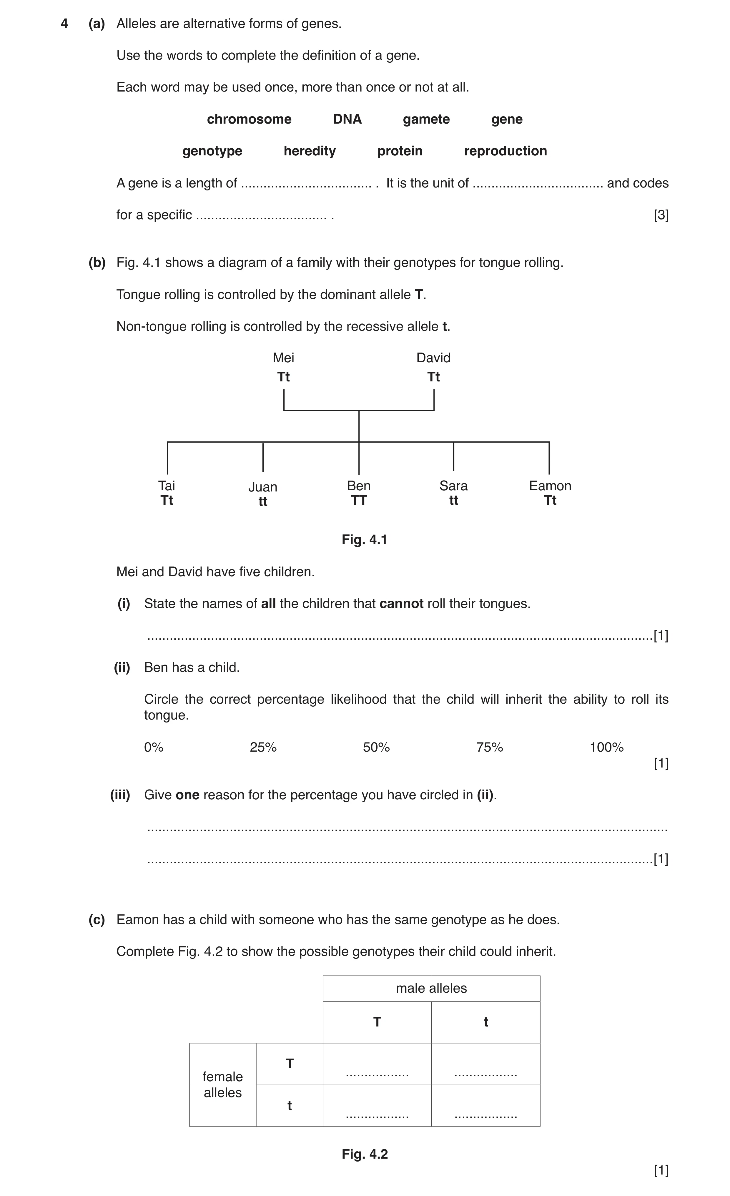 Question 2: (a) Alleles are alternative forms of genes. Use the words to complete the definition of a gene. Each word may be used once, more than once …