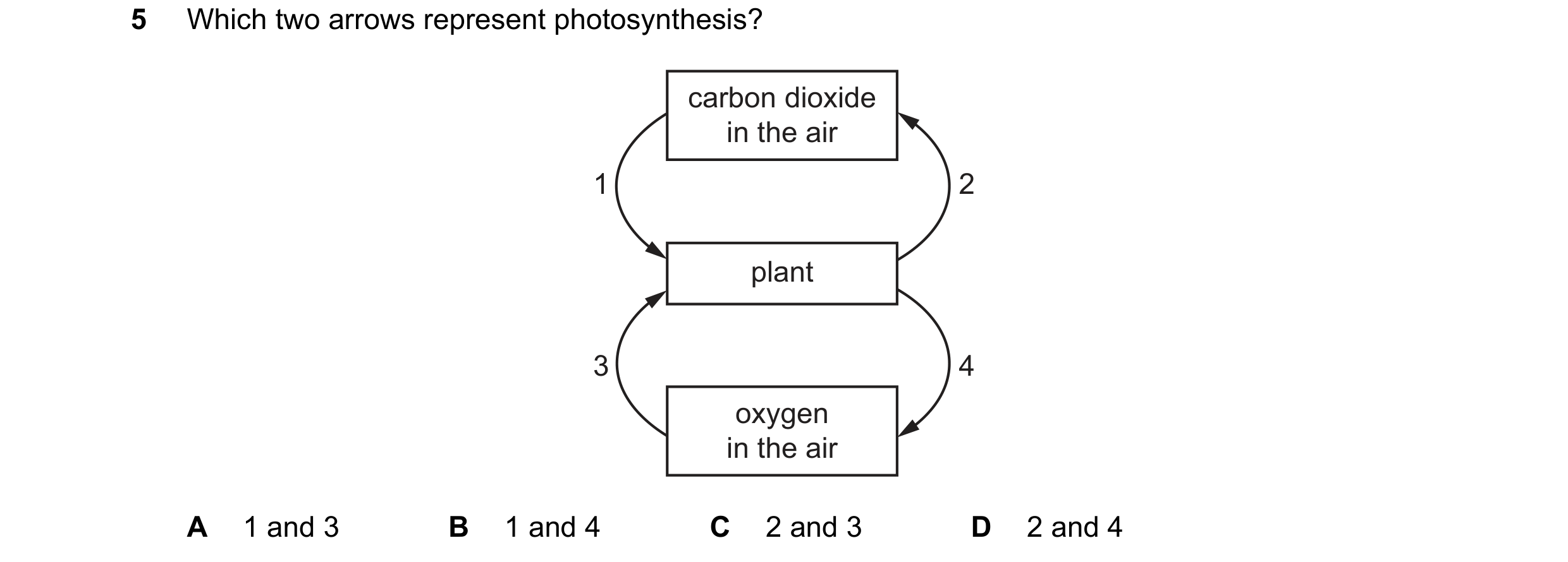 Question 12: Which two arrows represent photosynthesis? carbon dioxide in the air 1 2 plant 3 4 oxygen in the air A 1 and 3 B 1 and 4 C 2 and 3 D 2 and 4