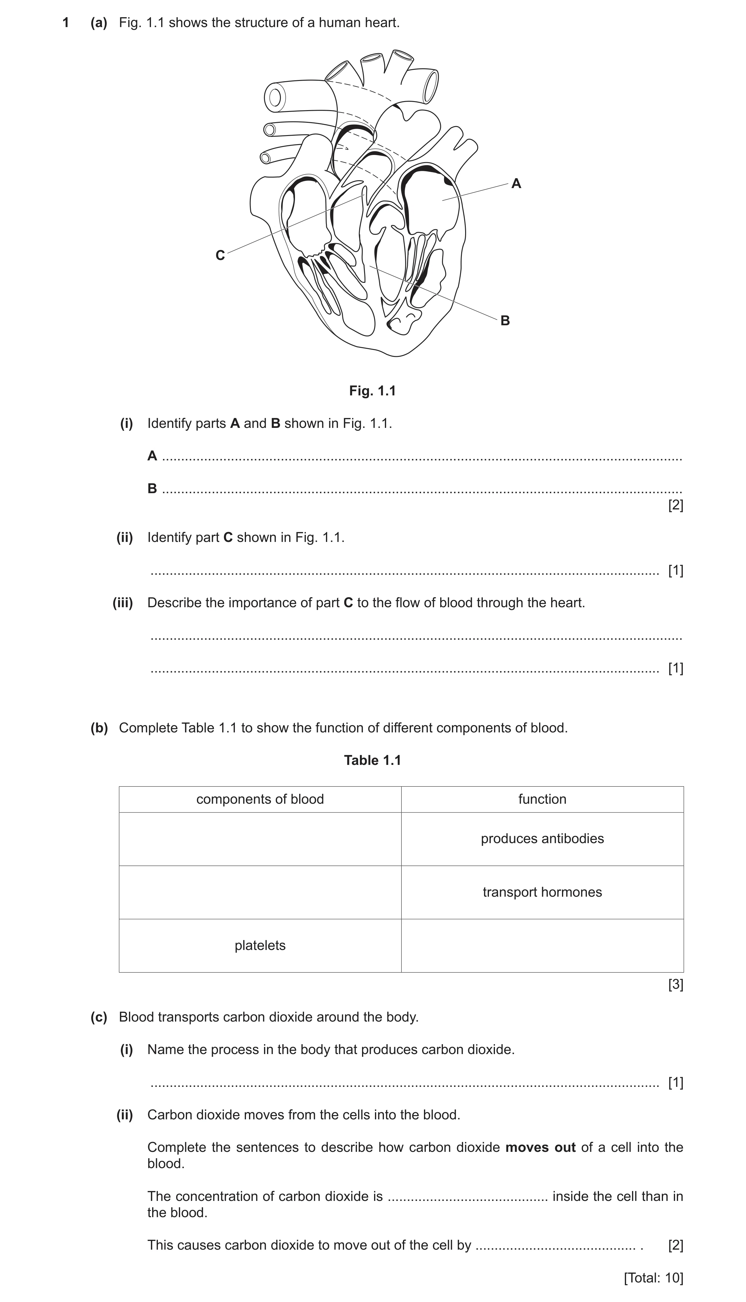 Question 5: (a) Fig. 1.1 shows the structure of a human heart. A C B Fig. 1.1 (i) Identify parts A and B shown in Fig. 1.1. A .........................…