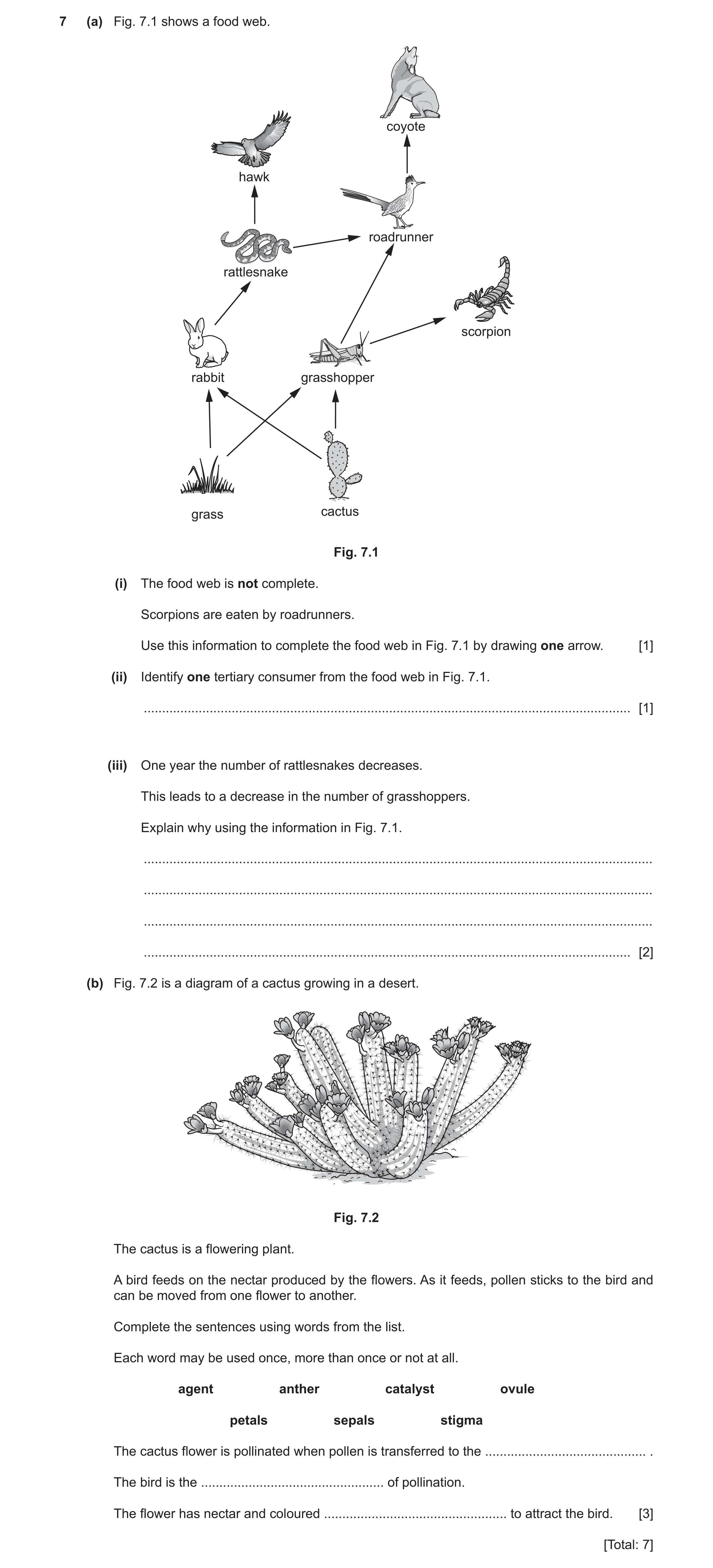 Question 10: (a) Fig. 7.1 shows a food web. coyote hawk roadrunner rattlesnake scorpion rabbit grasshopper grass cactus Fig. 7.1 (i) The food web is not…