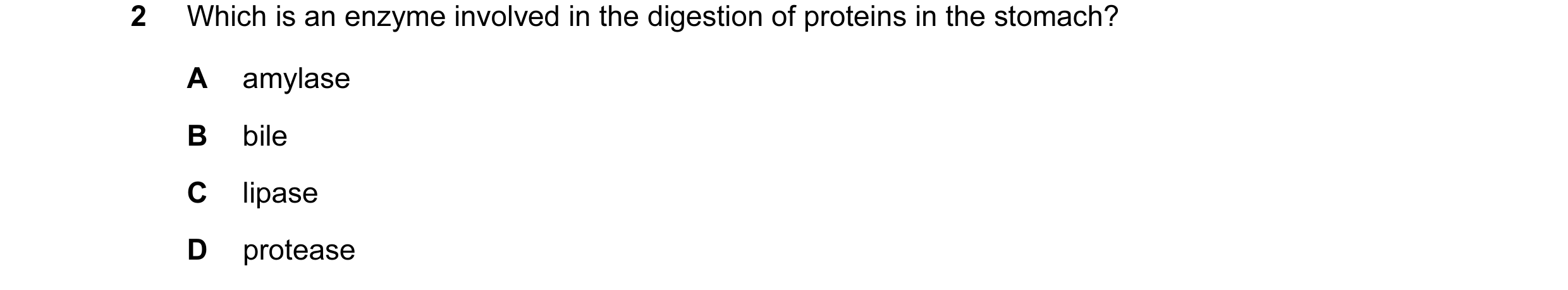 Question 17: Which is an enzyme involved in the digestion of proteins in the stomach? A amylase B bile C lipase D protease