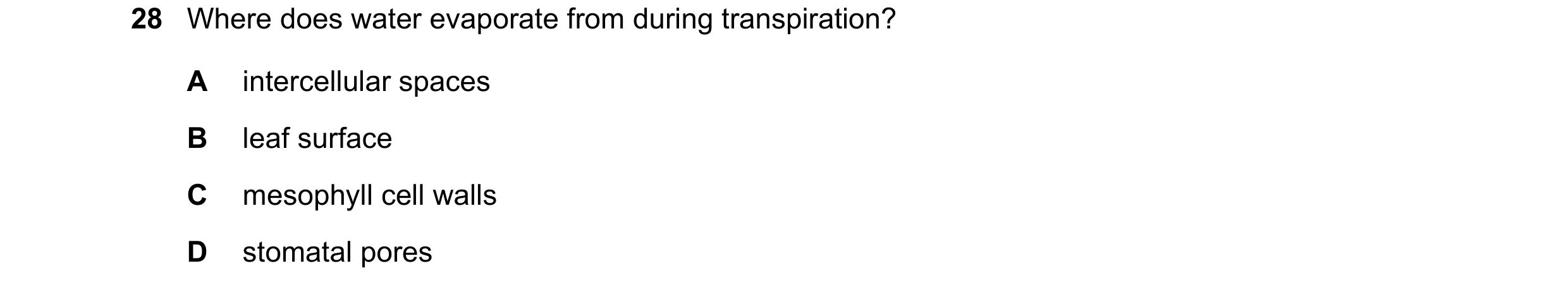 Question 296: Where does water evaporate from during transpiration? A intercellular spaces B leaf surface C mesophyll cell walls D stomatal pores