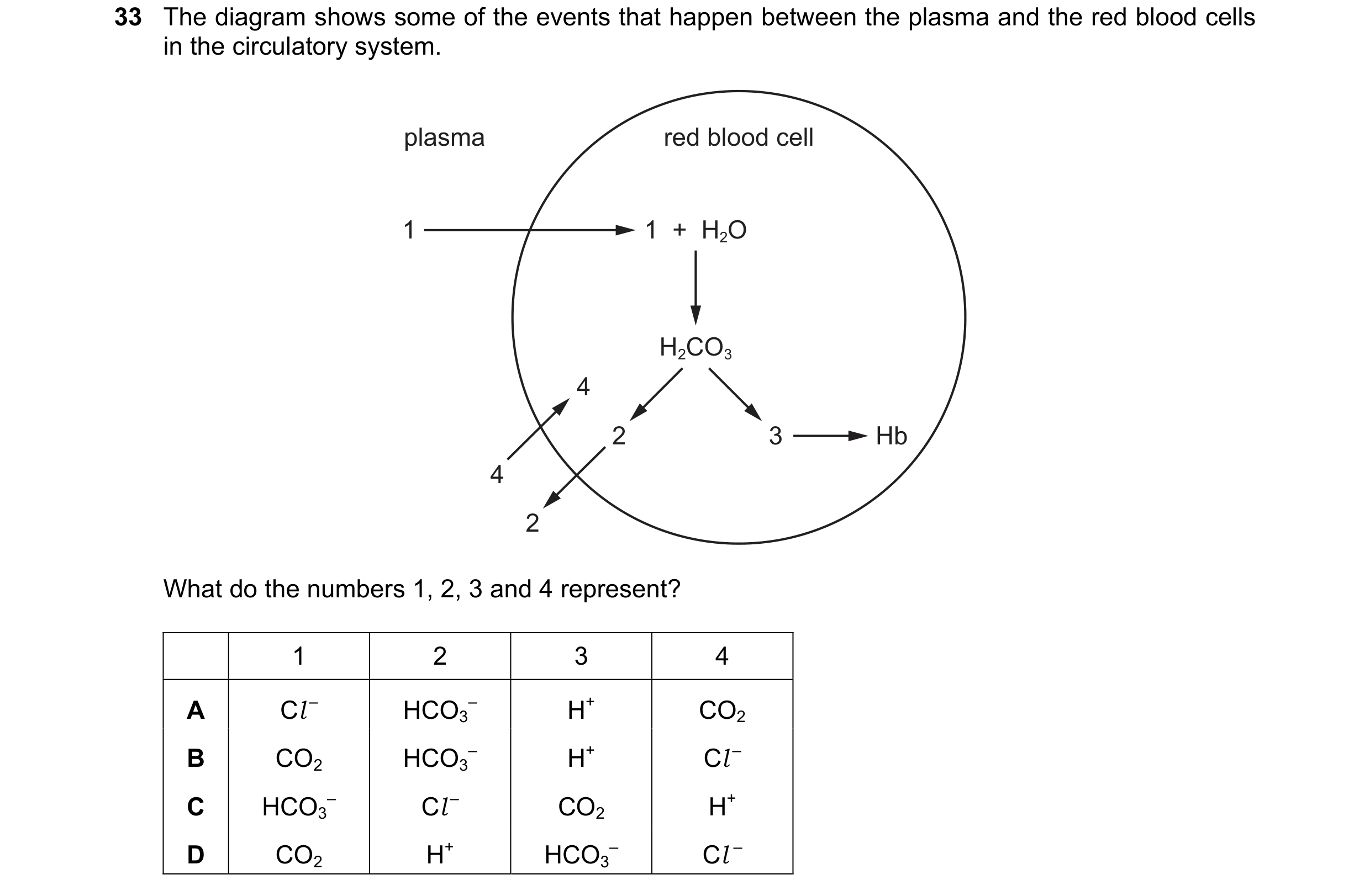 Question 164: The diagram shows some of the events that happen between the plasma and the red blood cells in the circulatory system. plasma red blood cel…