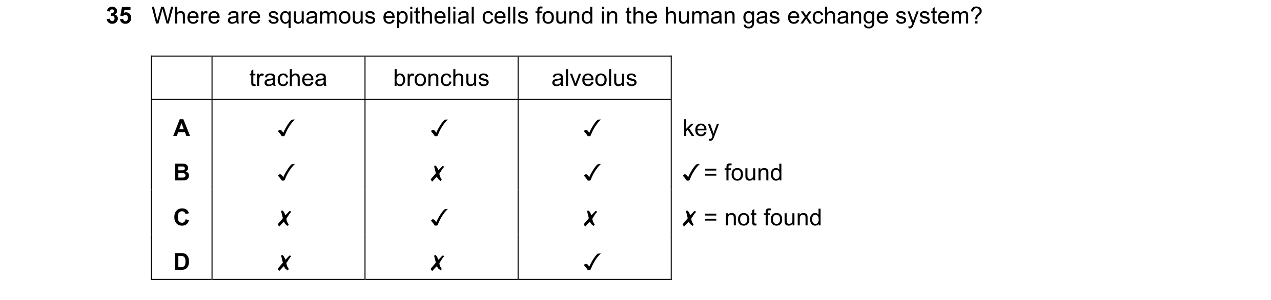 Question 227: Where are squamous epithelial cells found in the human gas exchange system?
trachea bronchus alveolus
v v v key
v = found
X = not found
…