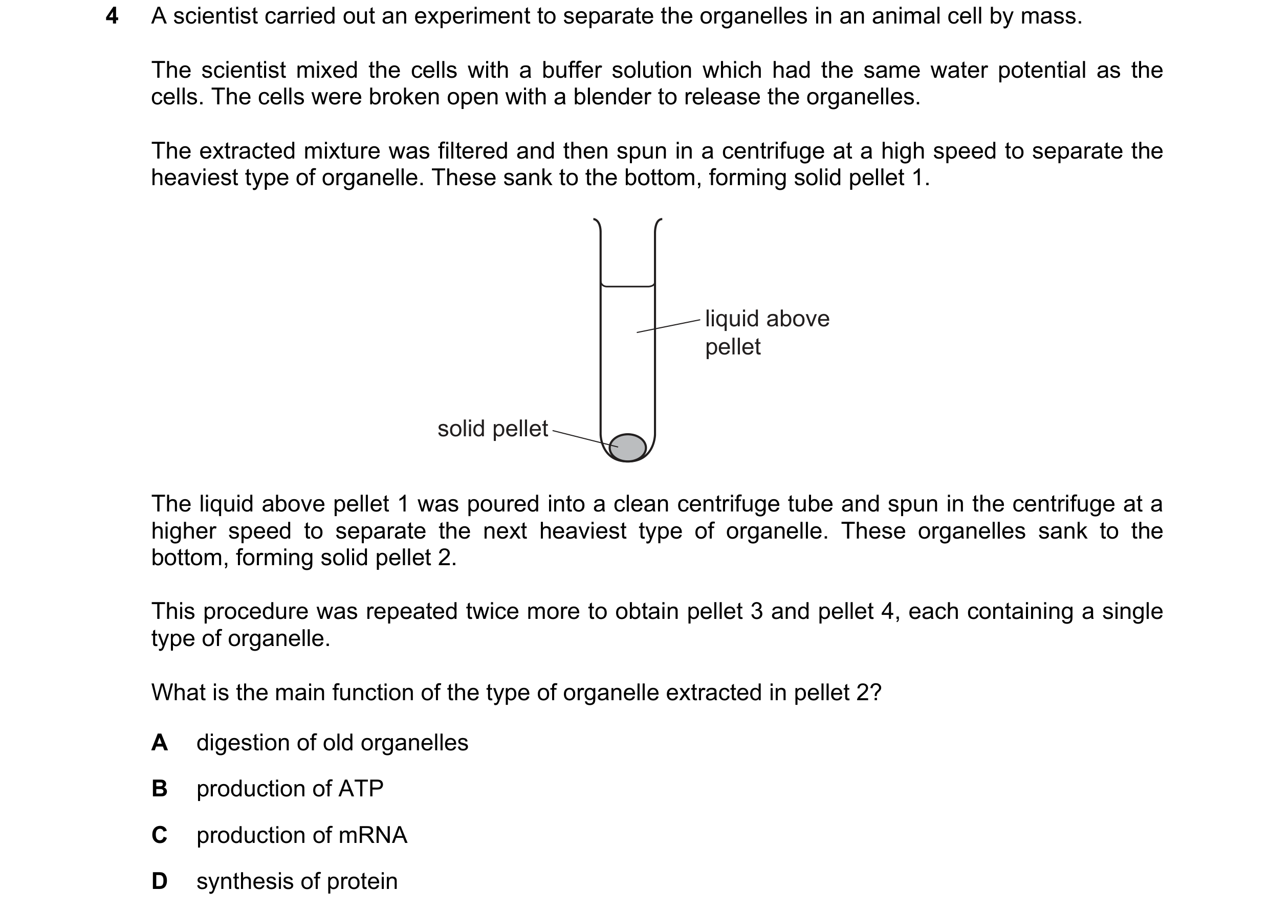 Question 321: A scientist carried out an experiment to separate the organelles in an animal cell by mass. The scientist mixed the cells with a buffer sol…