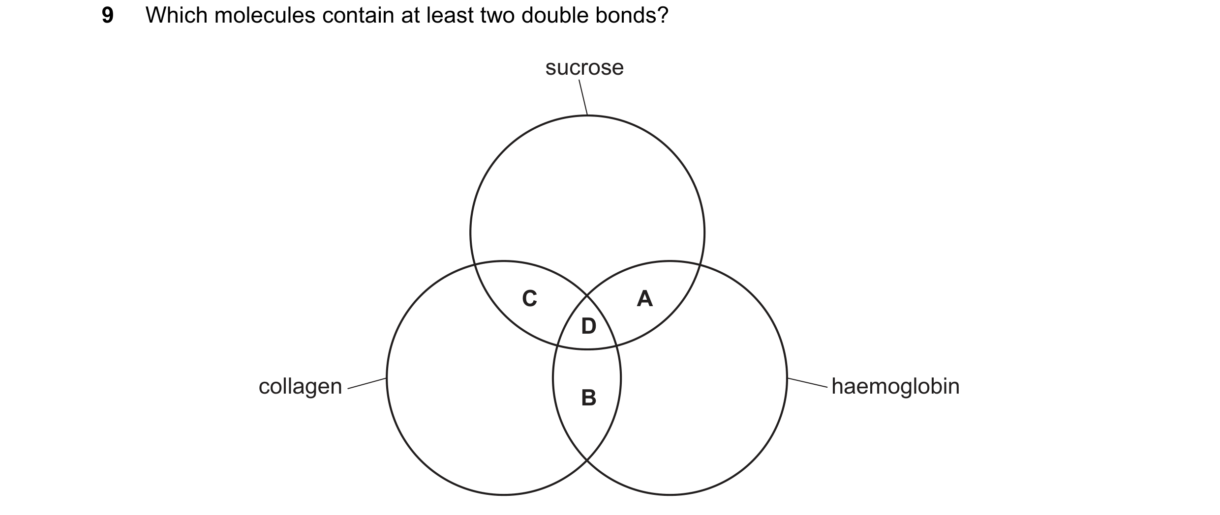 Question 219: Which molecules contain at least two double bonds? sucrose C A D collagen haemoglobin B