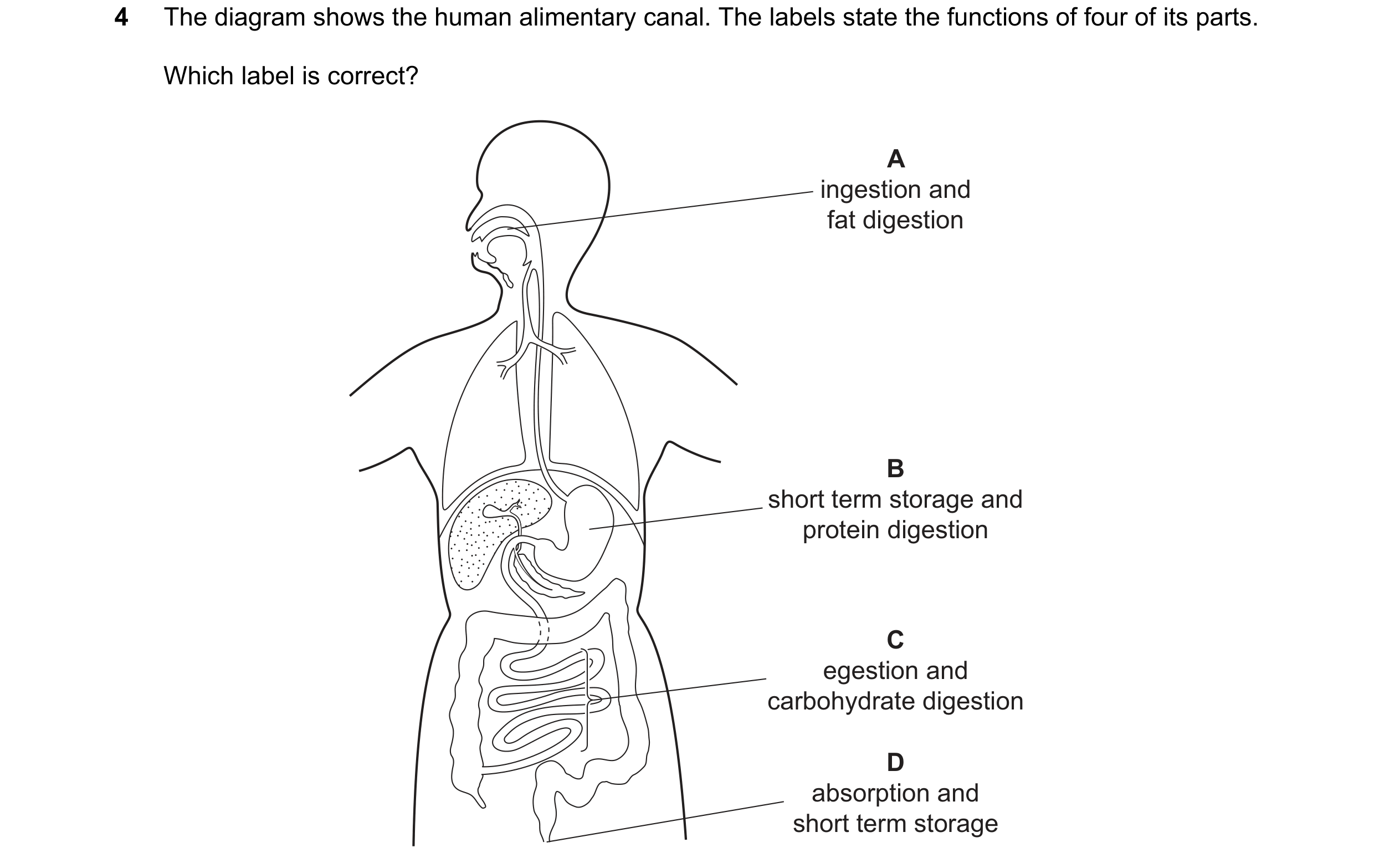 Question 24: The diagram shows the human alimentary canal. The labels state the functions of four of its parts. Which label is correct? A ingestion and …