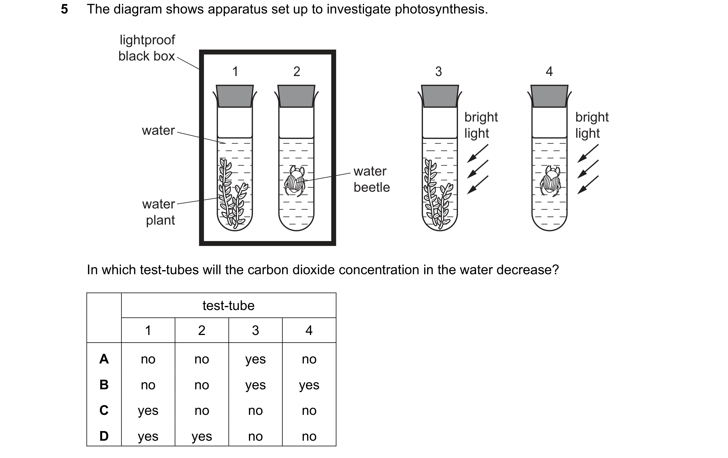 Question 59: The diagram shows apparatus set up to investigate photosynthesis. lightproof black box 1 2 3 4 bright bright water light light water beetle…