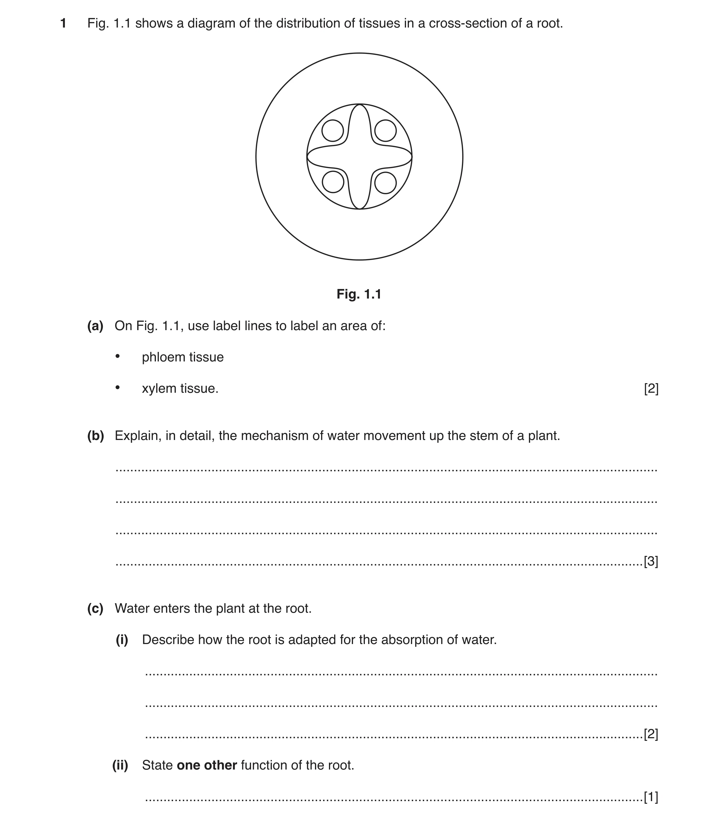 Question 4: Fig. 1.1 shows a diagram of the distribution of tissues in a cross-section of a root. Fig. 1.1 (a) On Fig. 1.1, use label lines to label an…