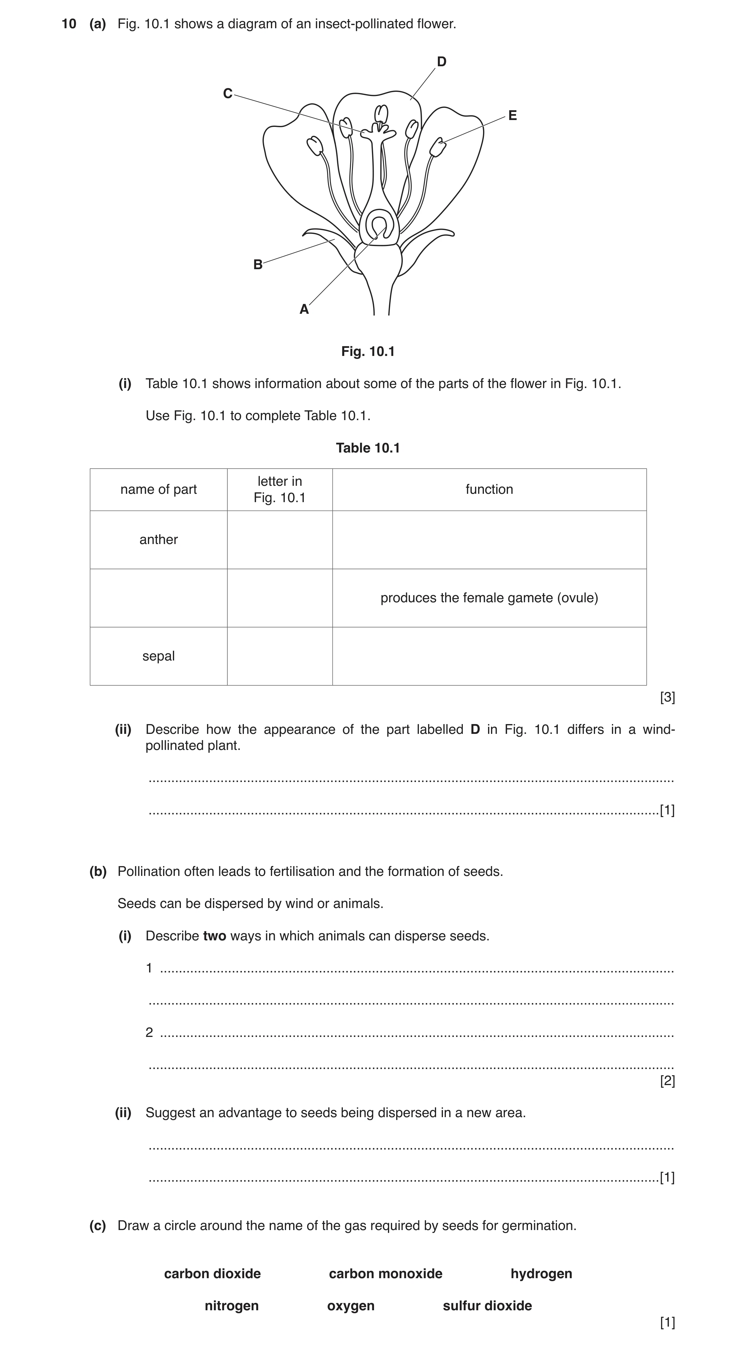 Question 7: (a) Fig. 10.1 shows a diagram of an insect-pollinated flower. D C E B A Fig. 10.1 (i) Table 10.1 shows information about some of the parts …