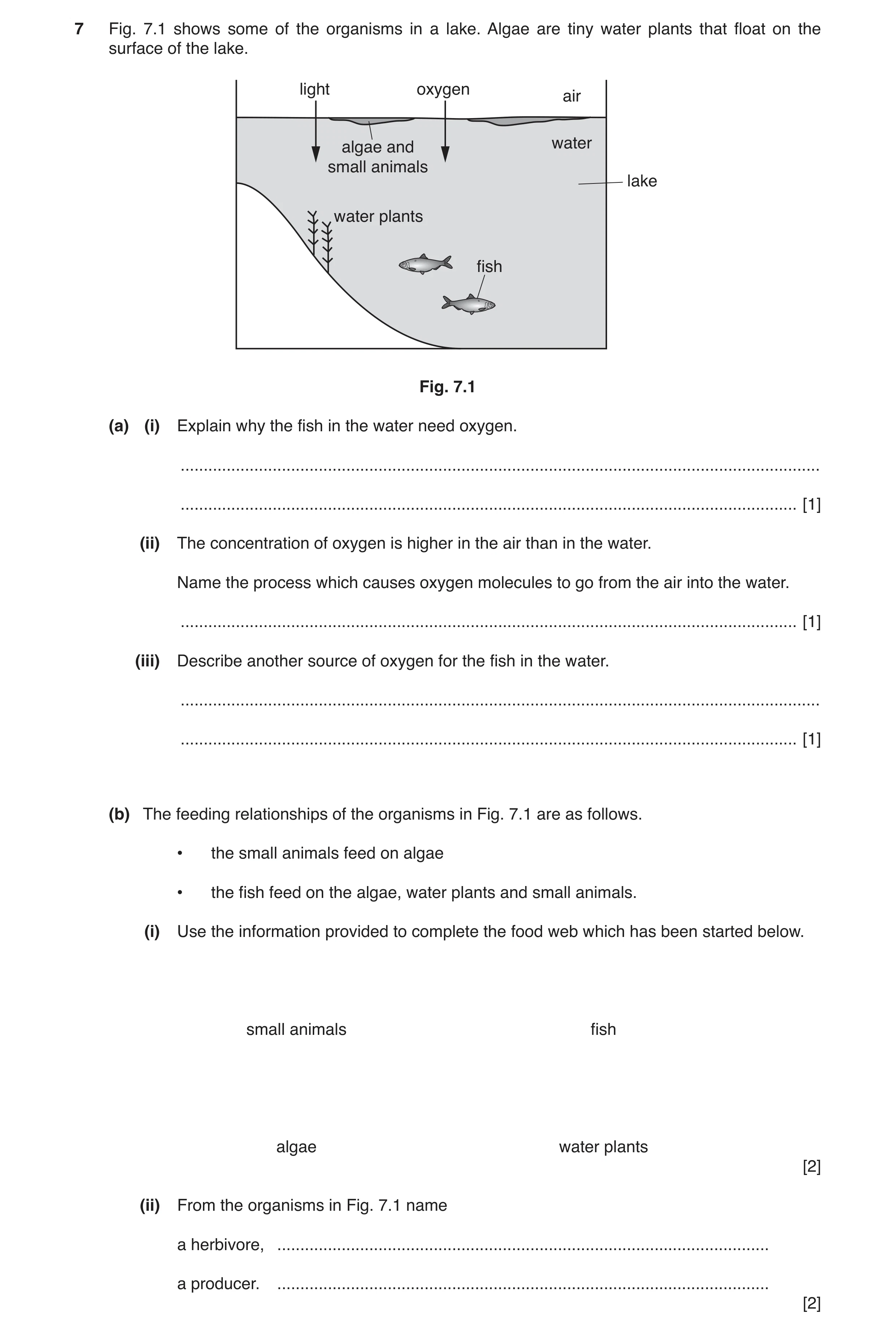 Question 2: Fig. 7.1 shows some of the organisms in a lake. Algae are tiny water plants that float on the surface of the lake. light oxygen air algae a…