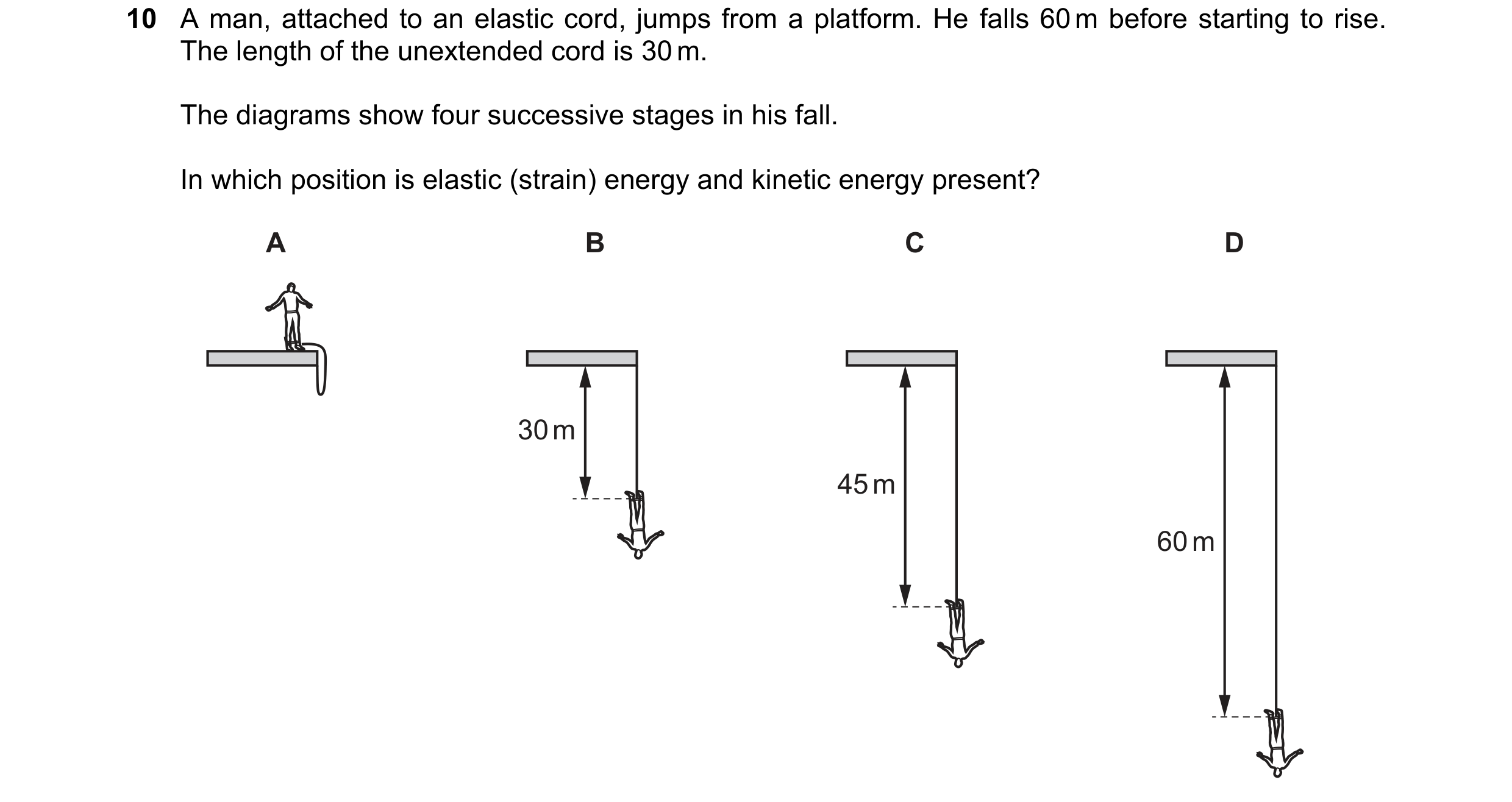 Question 128: A man, attached to an elastic cord, jumps from a platform. He falls 60 m before starting to rise. The length of the unextended cord is 30 m…