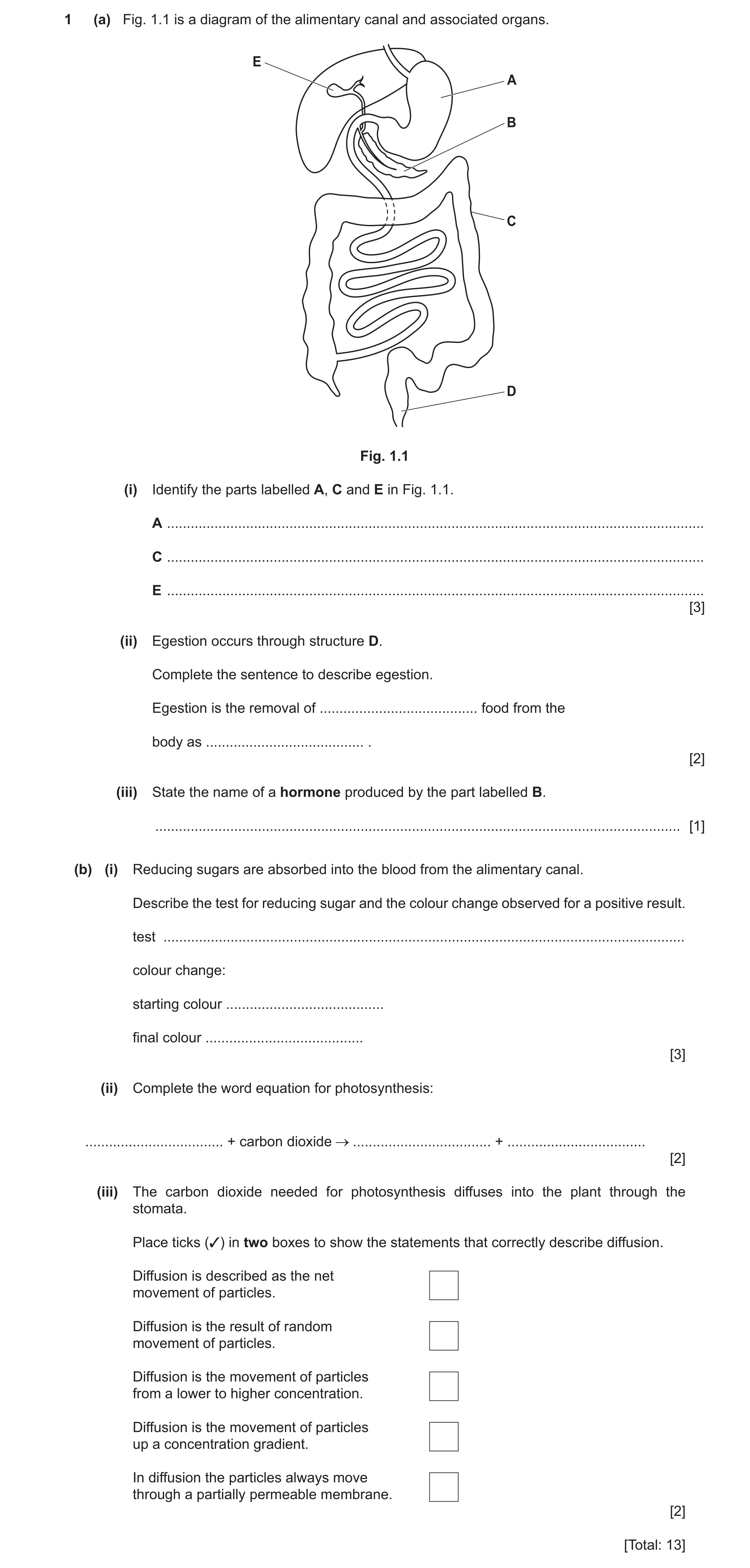 Question 21: (a) Fig. 1.1 is a diagram of the alimentary canal and associated organs. E A B C D Fig. 1.1 (i) Identify the parts labelled A, C and E in F…