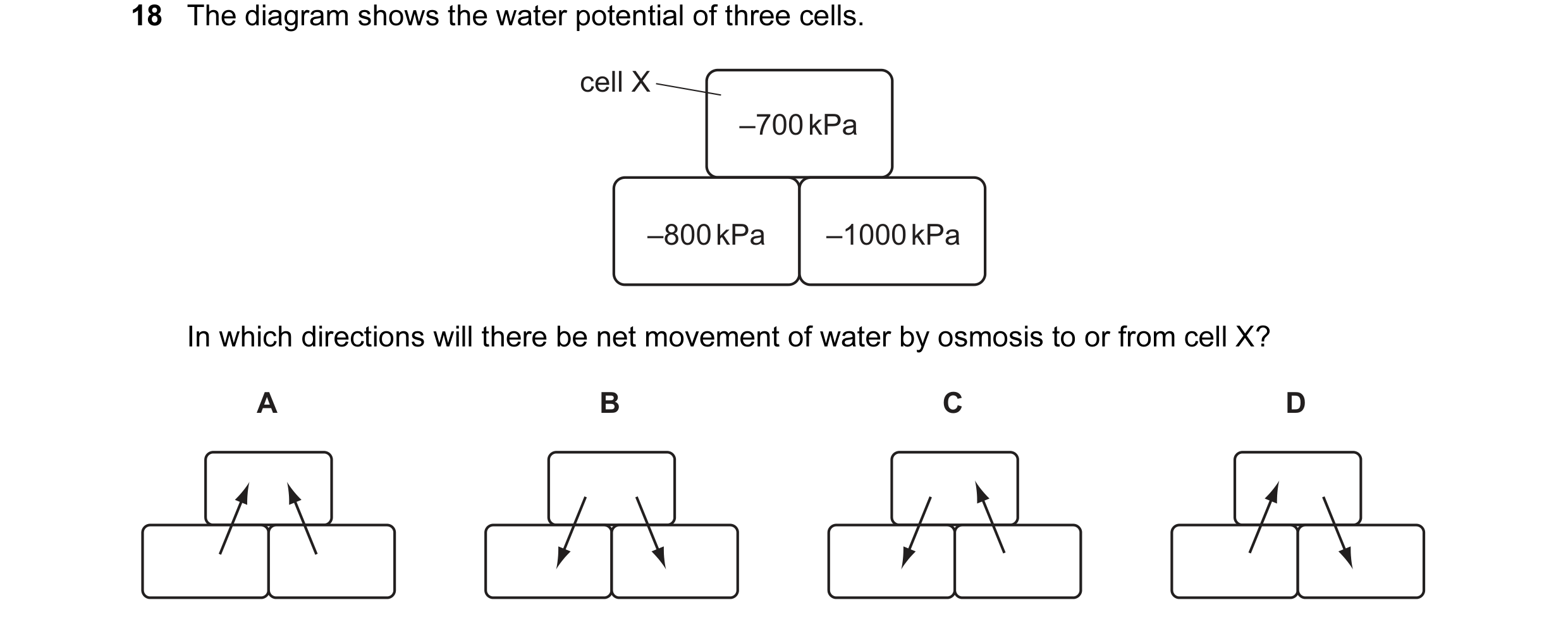 Question 60: The diagram shows the water potential of three cells. cell X –700 kPa –800 kPa –1000 kPa In which directions will there be net movement of …