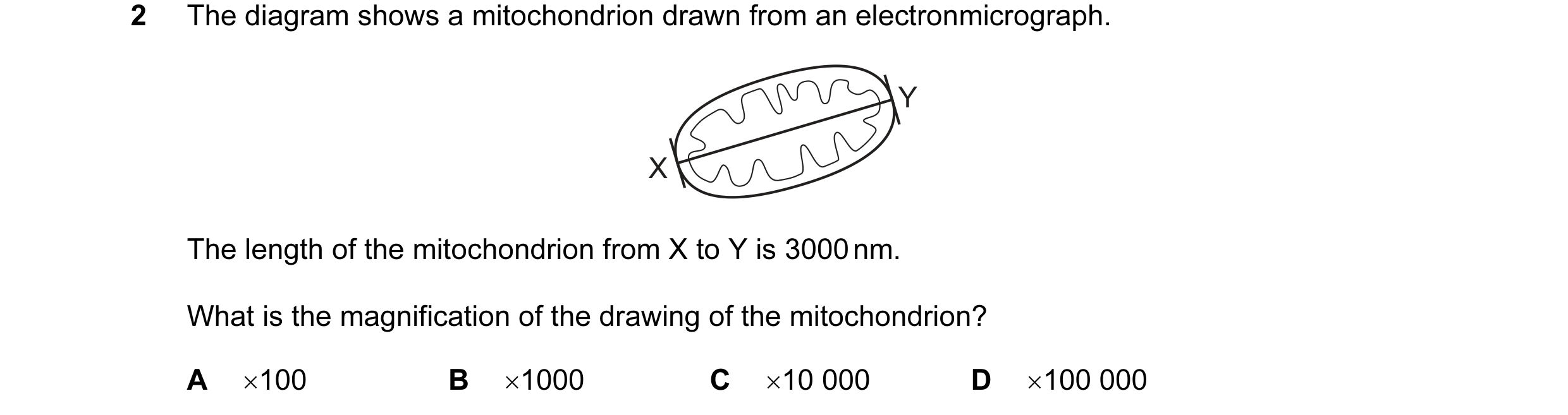 Question 61: The diagram shows a mitochondrion drawn from an electronmicrograph. Y X The length of the mitochondrion from X to Y is 3000 nm. What is the…