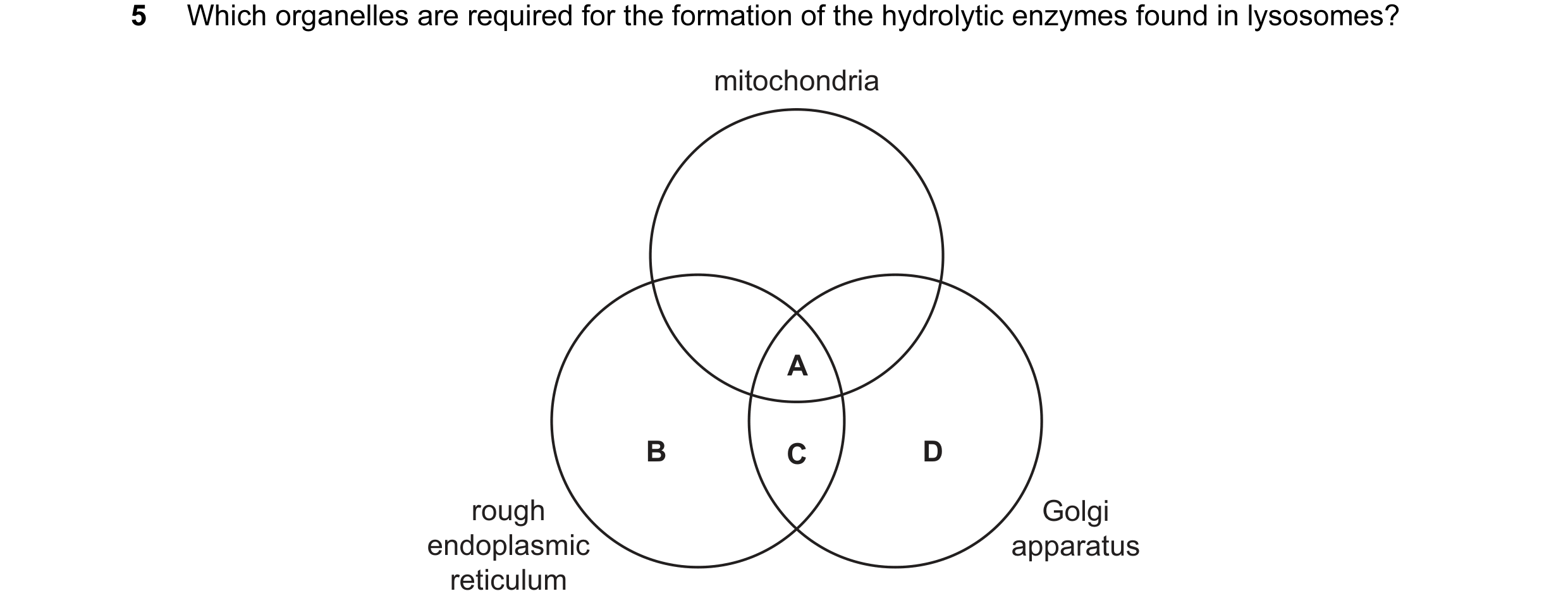 Question 75: Which organelles are required for the formation of the hydrolytic enzymes found in lysosomes? mitochondria A B C D rough Golgi endoplasmic …