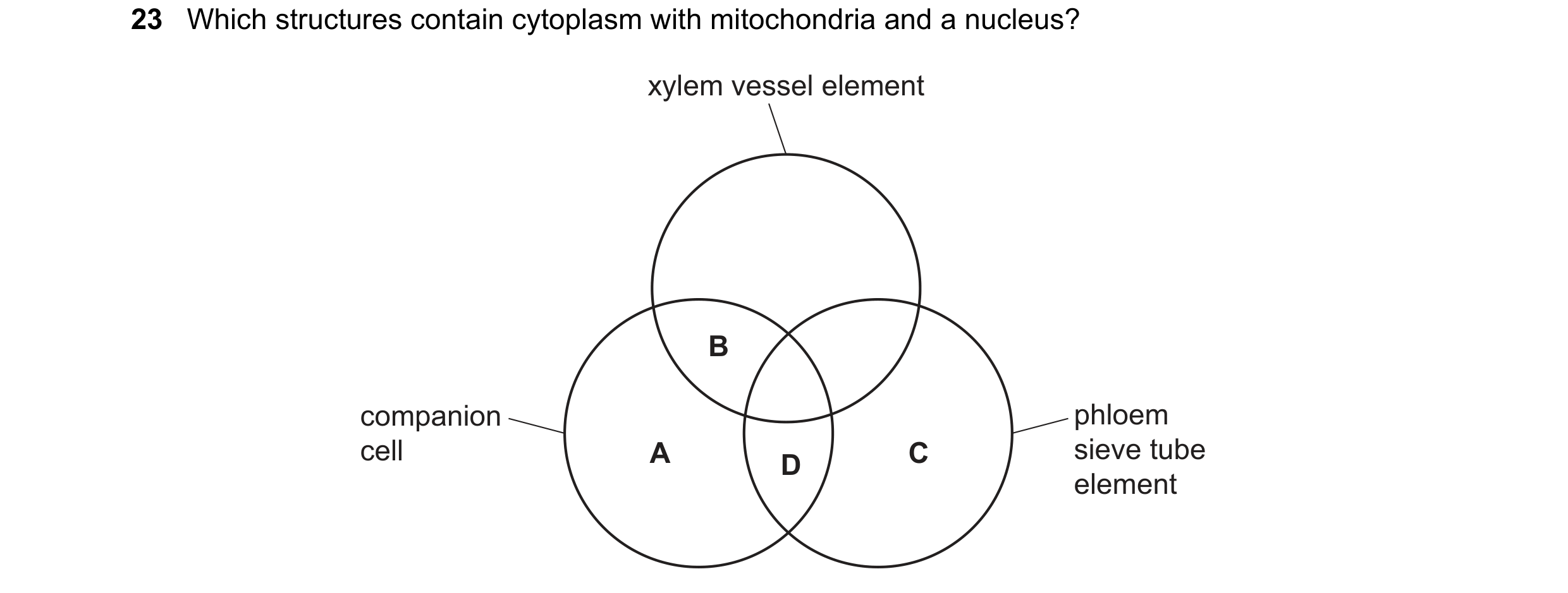 Question 99: Which structures contain cytoplasm with mitochondria and a nucleus? xylem vessel element B companion phloem cell A C sieve tube D element