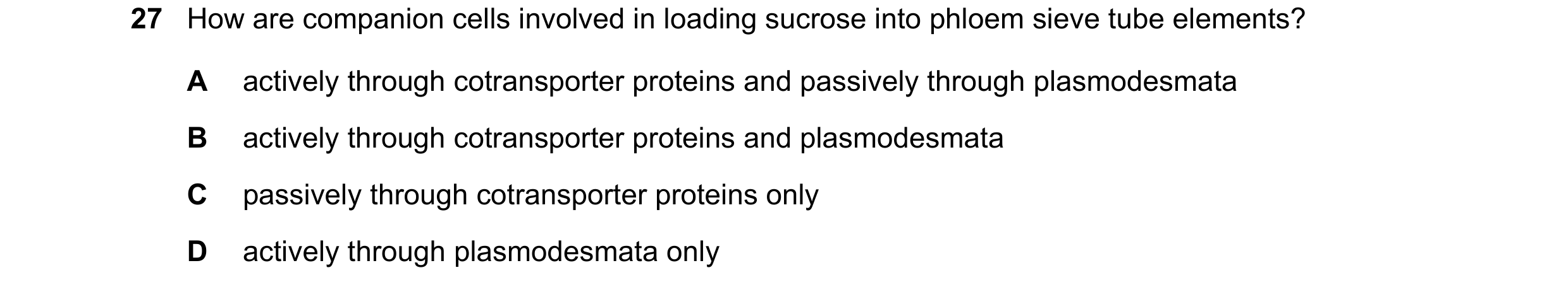 Question 294: How are companion cells involved in loading sucrose into phloem sieve tube elements? A actively through cotransporter proteins and passivel…