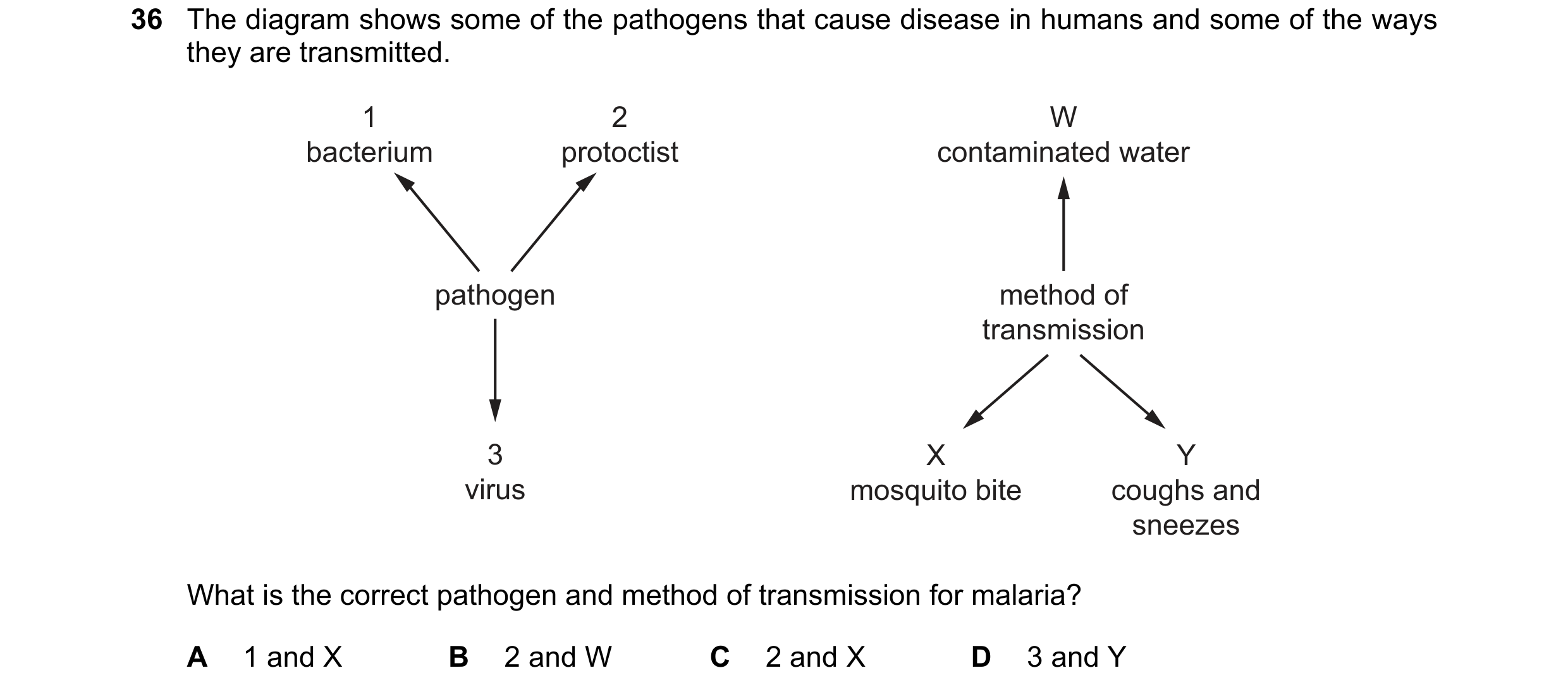 Question 145: The diagram shows some of the pathogens that cause disease in humans and some of the ways they are transmitted. 1 2 W bacterium protoctist …
