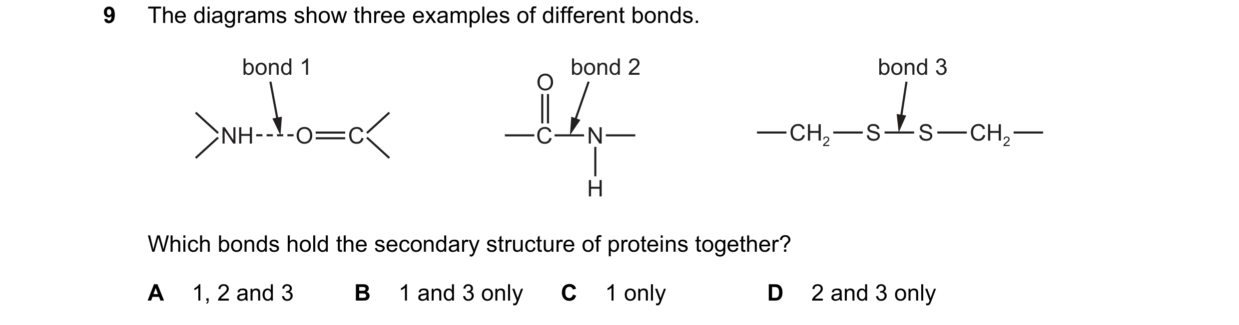 Question 217: The diagrams show three examples of different bonds. bond 1 bond 2 bond 3 O NH O C C N CH2 S S CH2 H Which bonds hold the secondary structu…