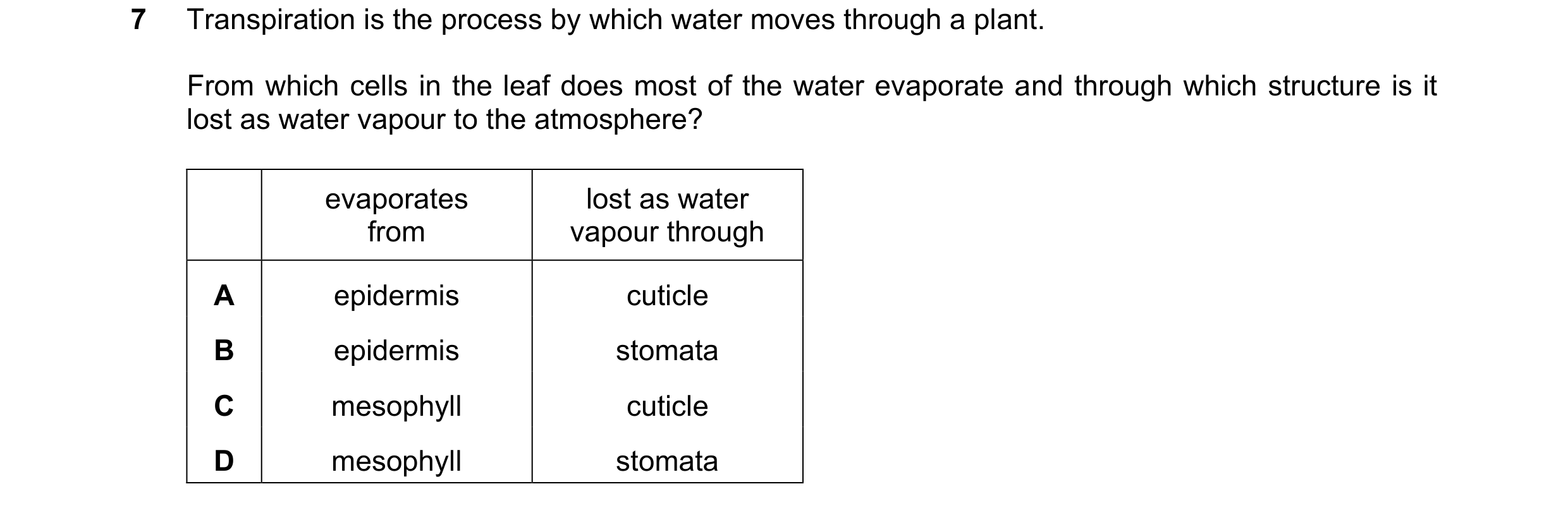 Question 15: Transpiration is the process by which water moves through a plant. From which cells in the leaf does most of the water evaporate and throug…
