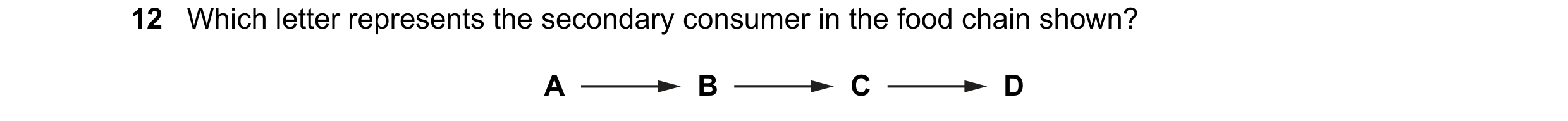 Question 35: Which letter represents the secondary consumer in the food chain shown? A B C D