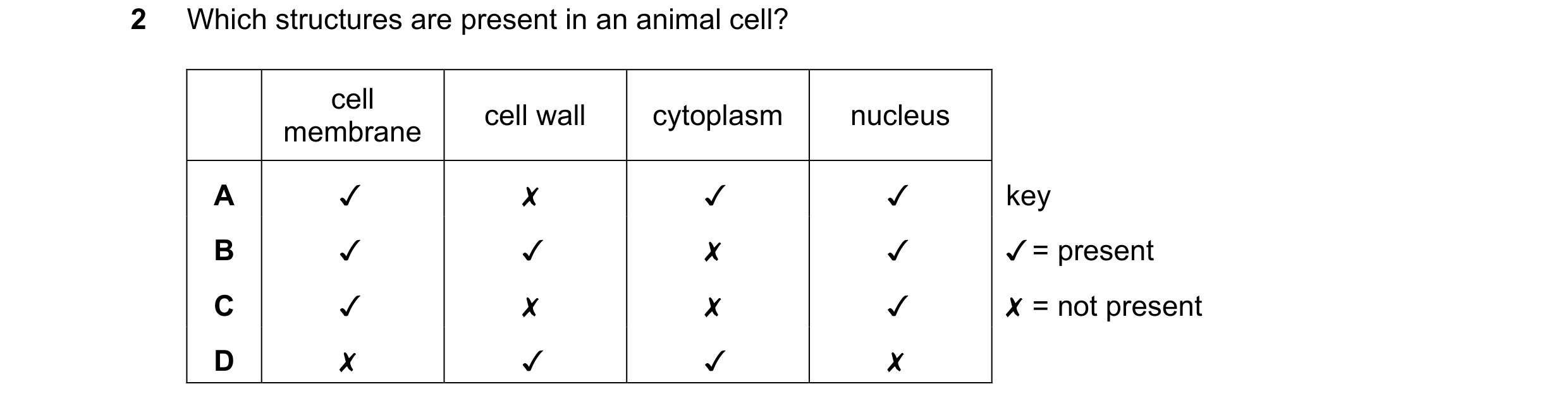 Question 38: Which structures are present in an animal cell?

cell

membrane cell wall cytoplasm nucleus
A WA x W, y
B WA V4 x y
Cc J x x y
D x V4 W, x
…