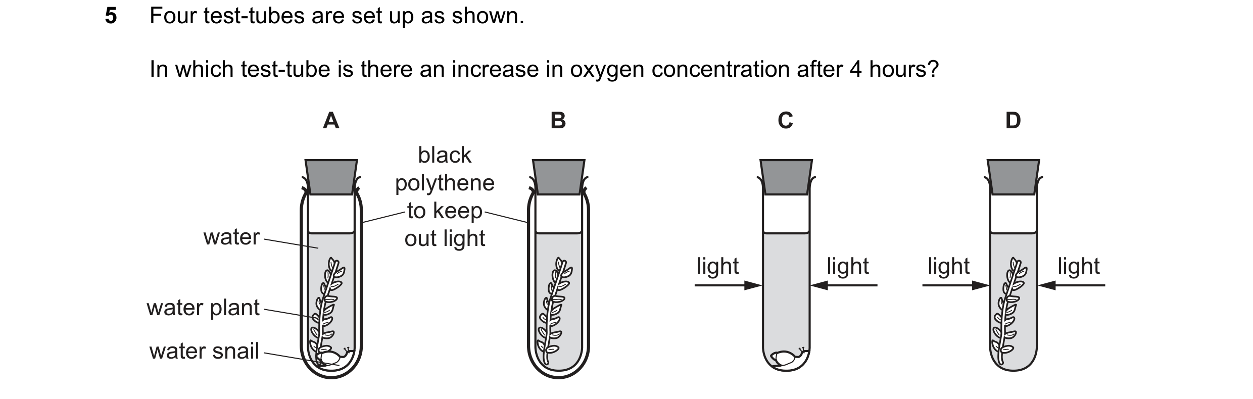 Question 40: Four test-tubes are set up as shown. In which test-tube is there an increase in oxygen concentration after 4 hours? A B C D black polythene…