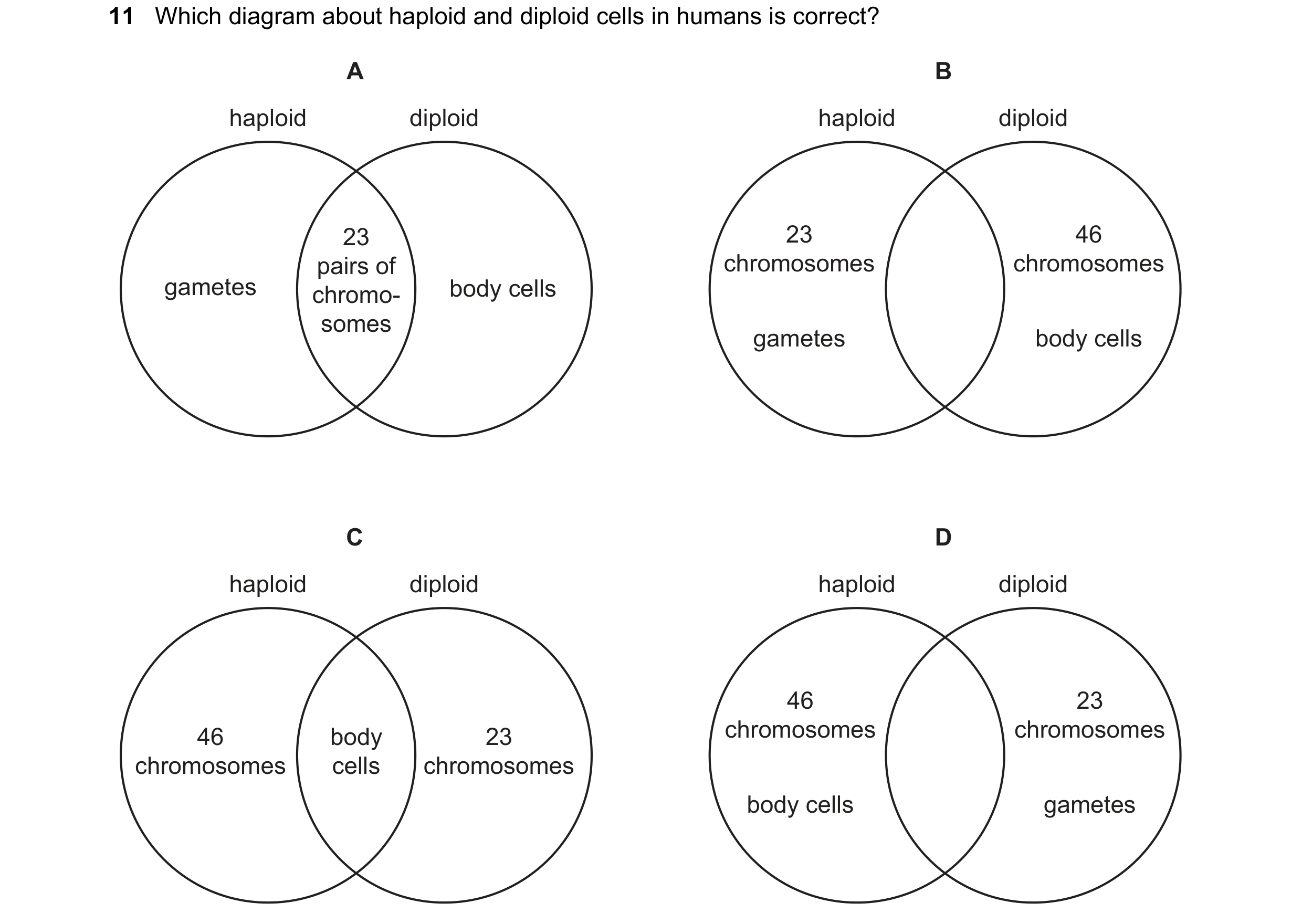 Question 13: Which diagram about haploid and diploid cells in humans is correct? A B haploid diploid haploid diploid 23 23 46 pairs of chromosomes chrom…