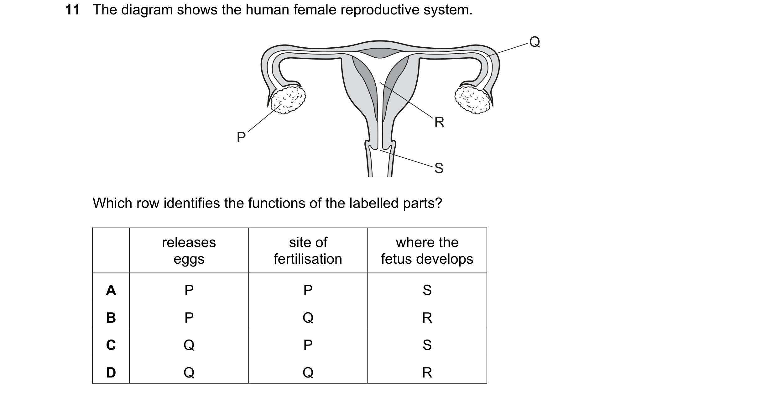 Question 97: The diagram shows the human female reproductive system. Q R P S Which row identifies the functions of the labelled parts? releases site of …