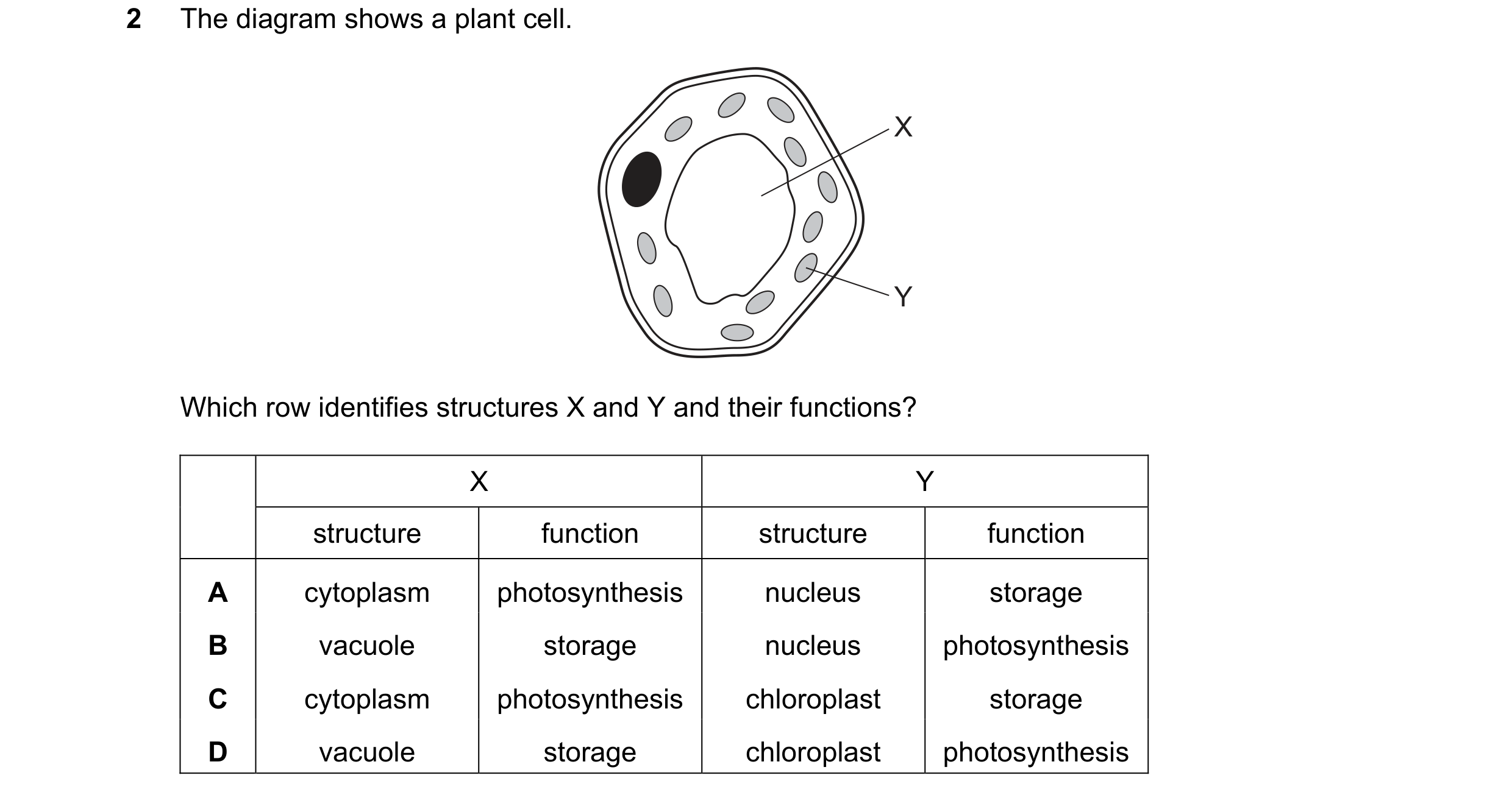 Question 82: The diagram shows a plant cell. X Y Which row identifies structures X and Y and their functions? X Y structure function structure function …