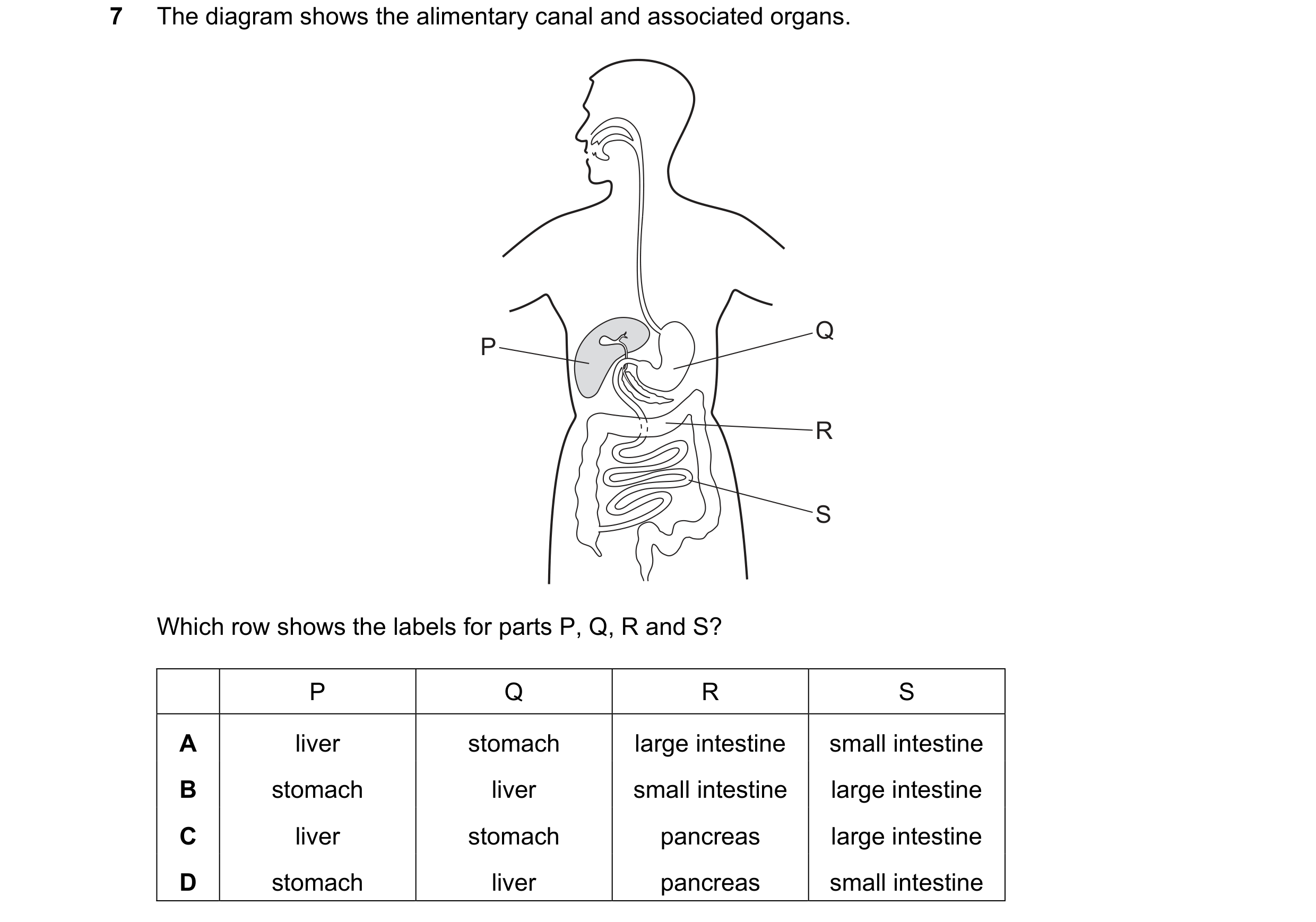Question 47: The diagram shows the alimentary canal and associated organs. Q P R S Which row shows the labels for parts P, Q, R and S? P Q R S A liver s…